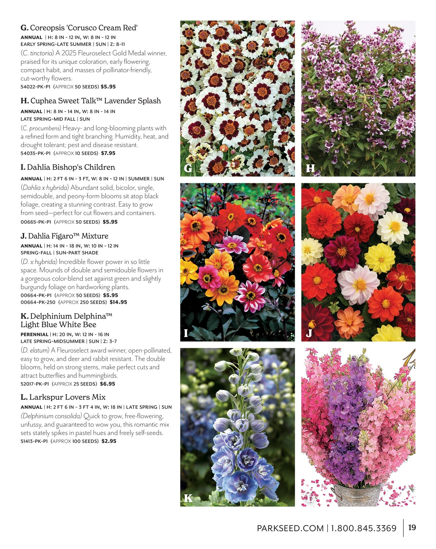 Park Seed flyer page 19