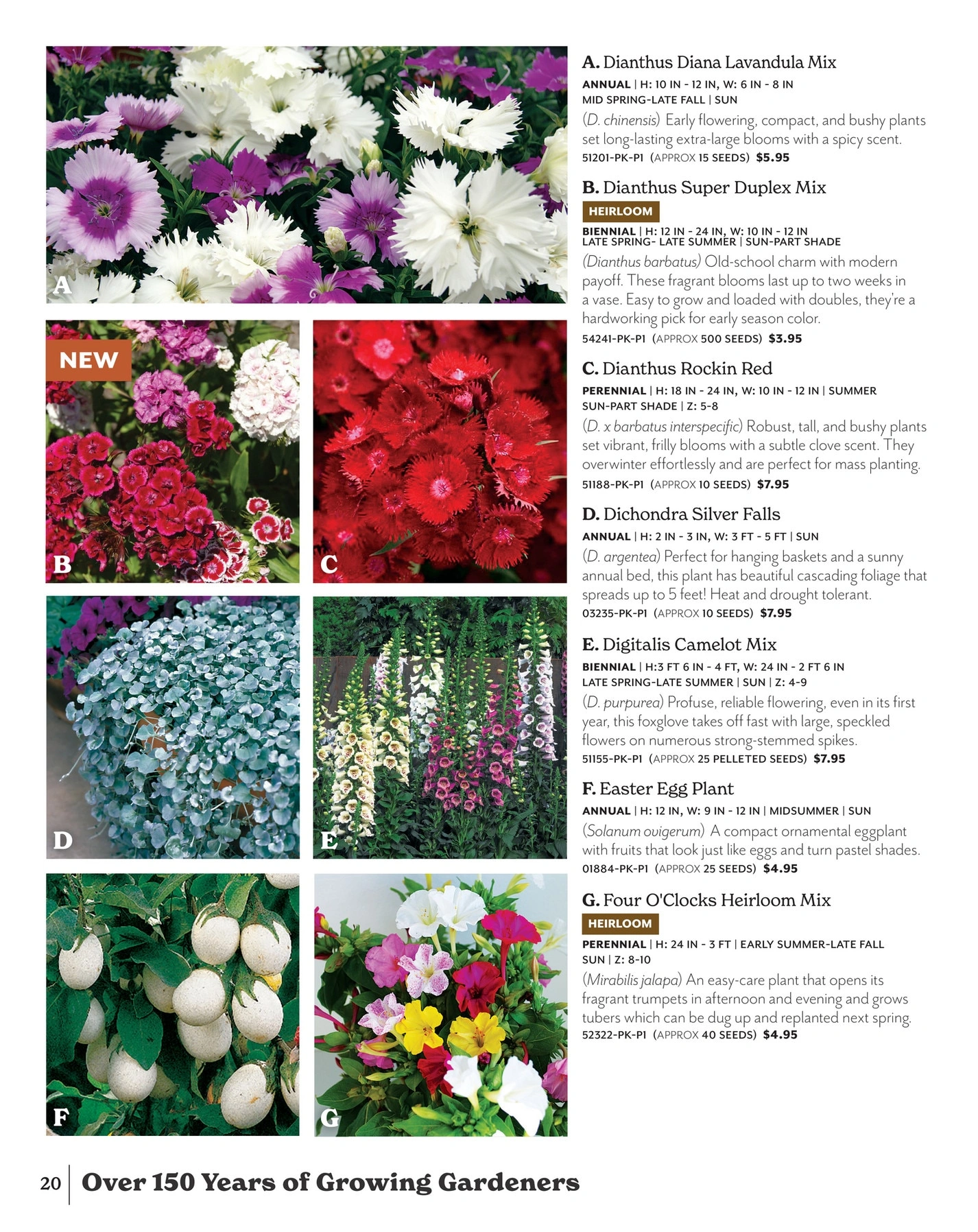 Park Seed flyer page 20