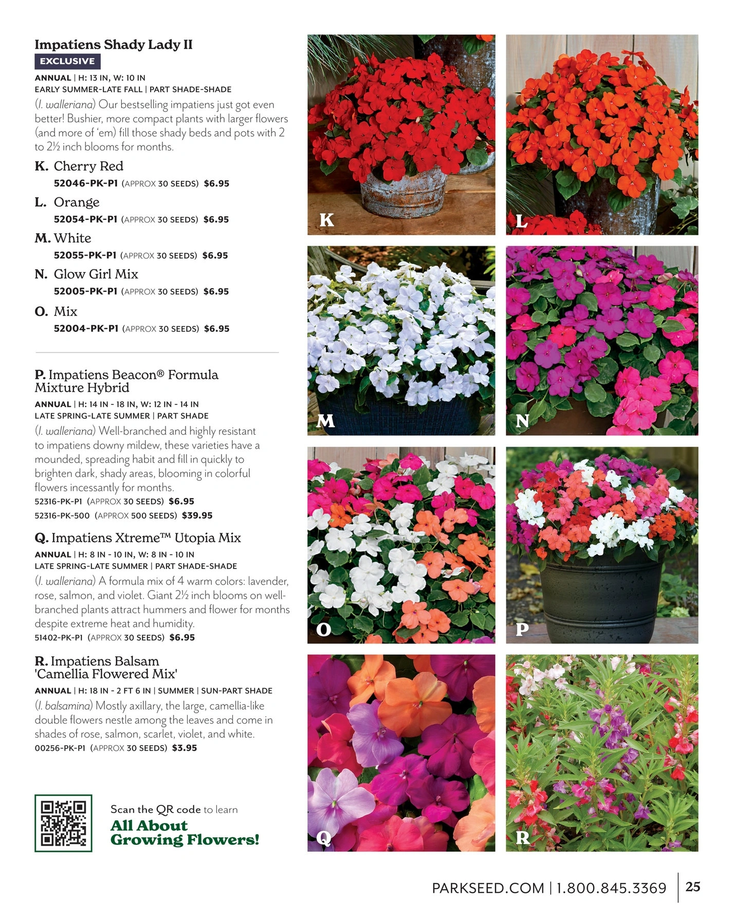 Park Seed flyer page 25