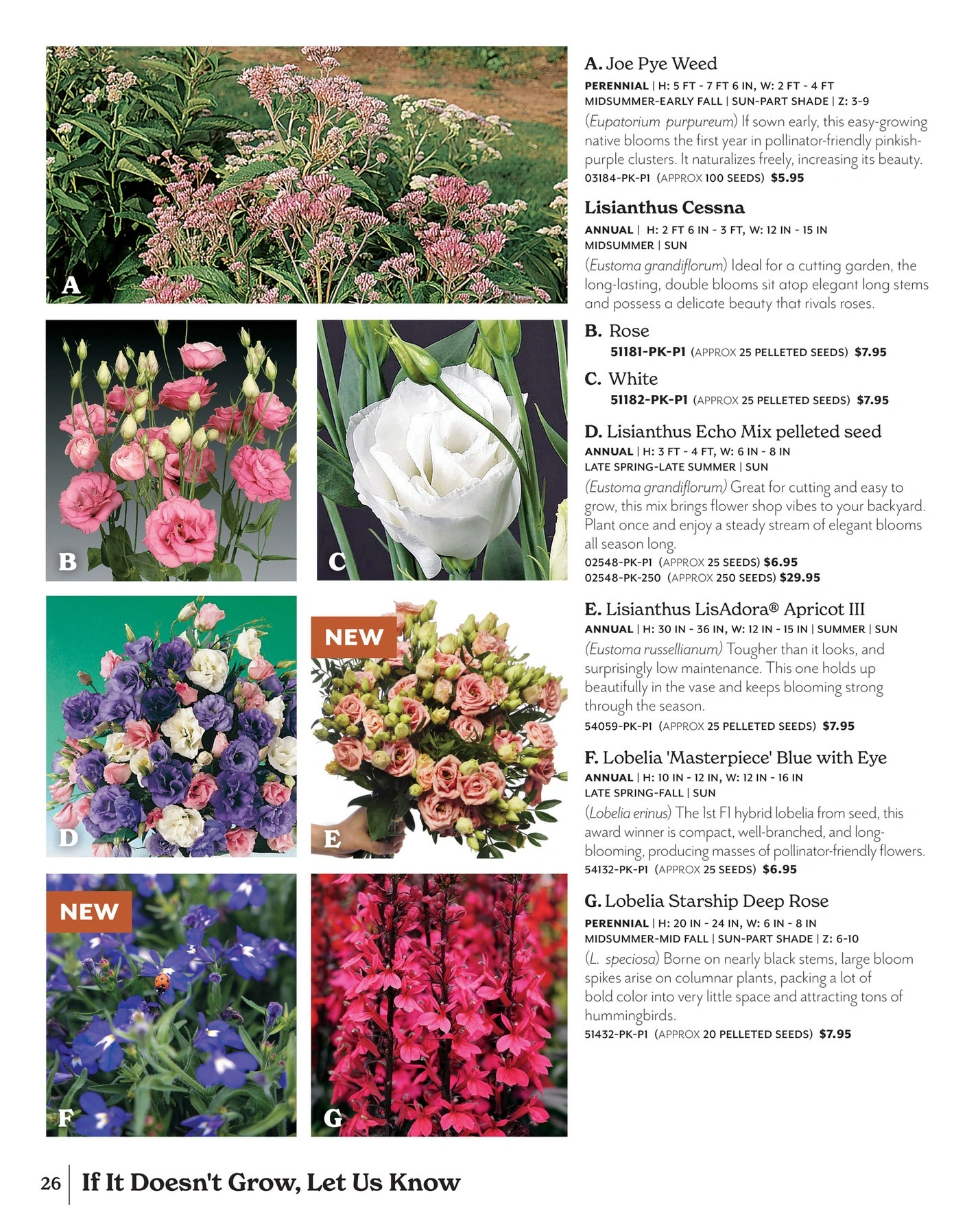 Park Seed flyer page 26