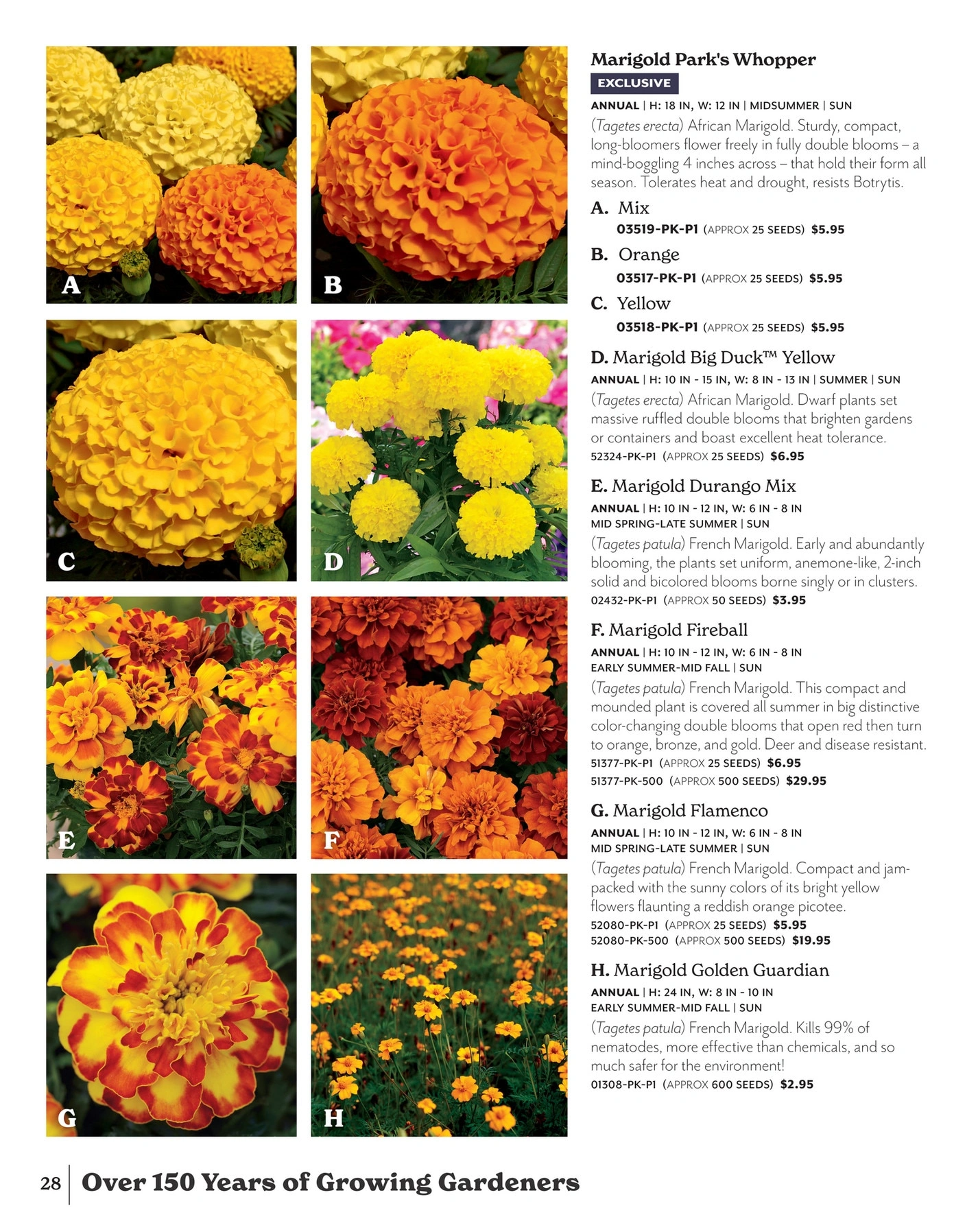 Park Seed flyer page 28