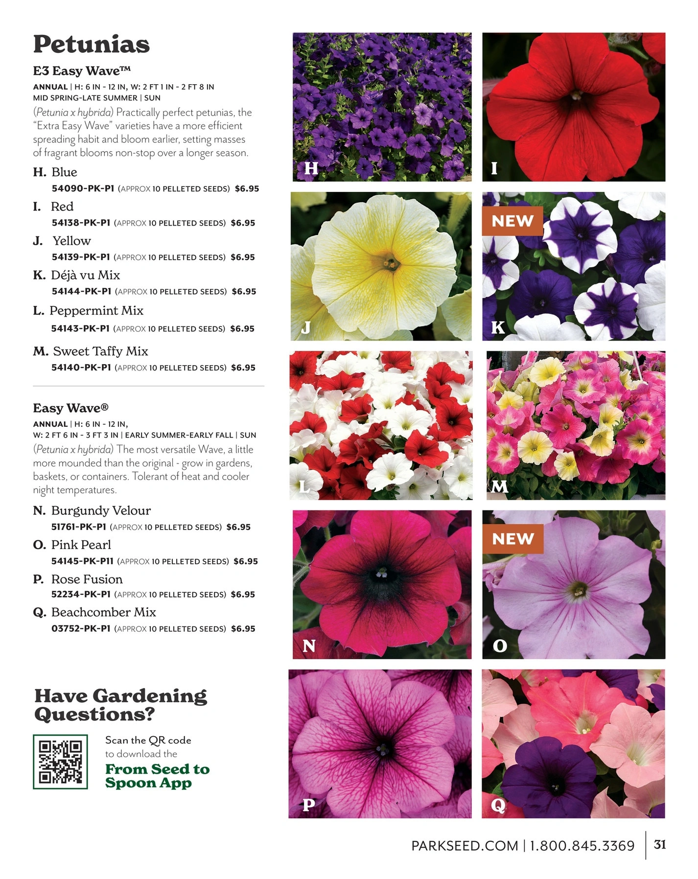 Park Seed flyer page 31
