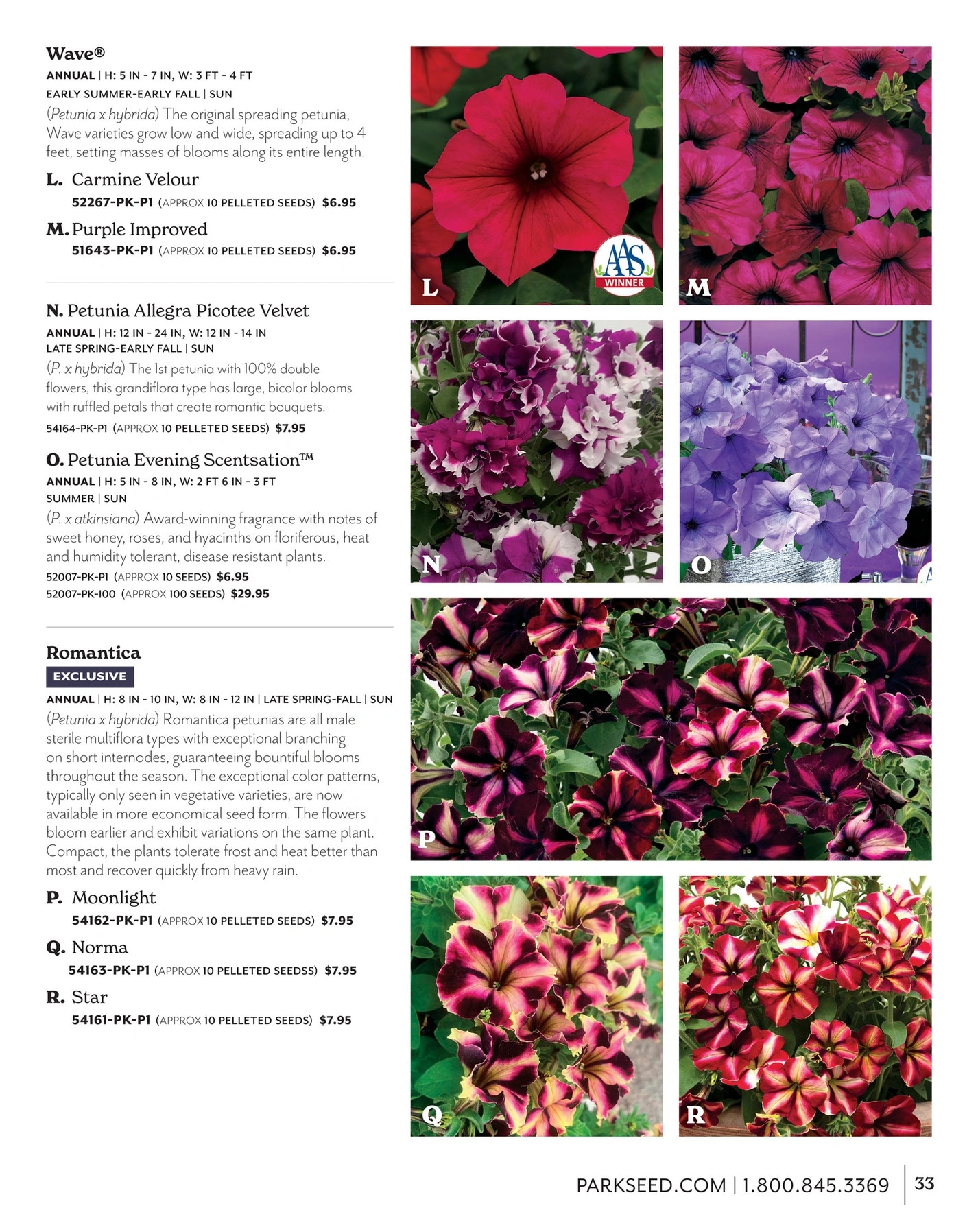 Park Seed flyer page 33