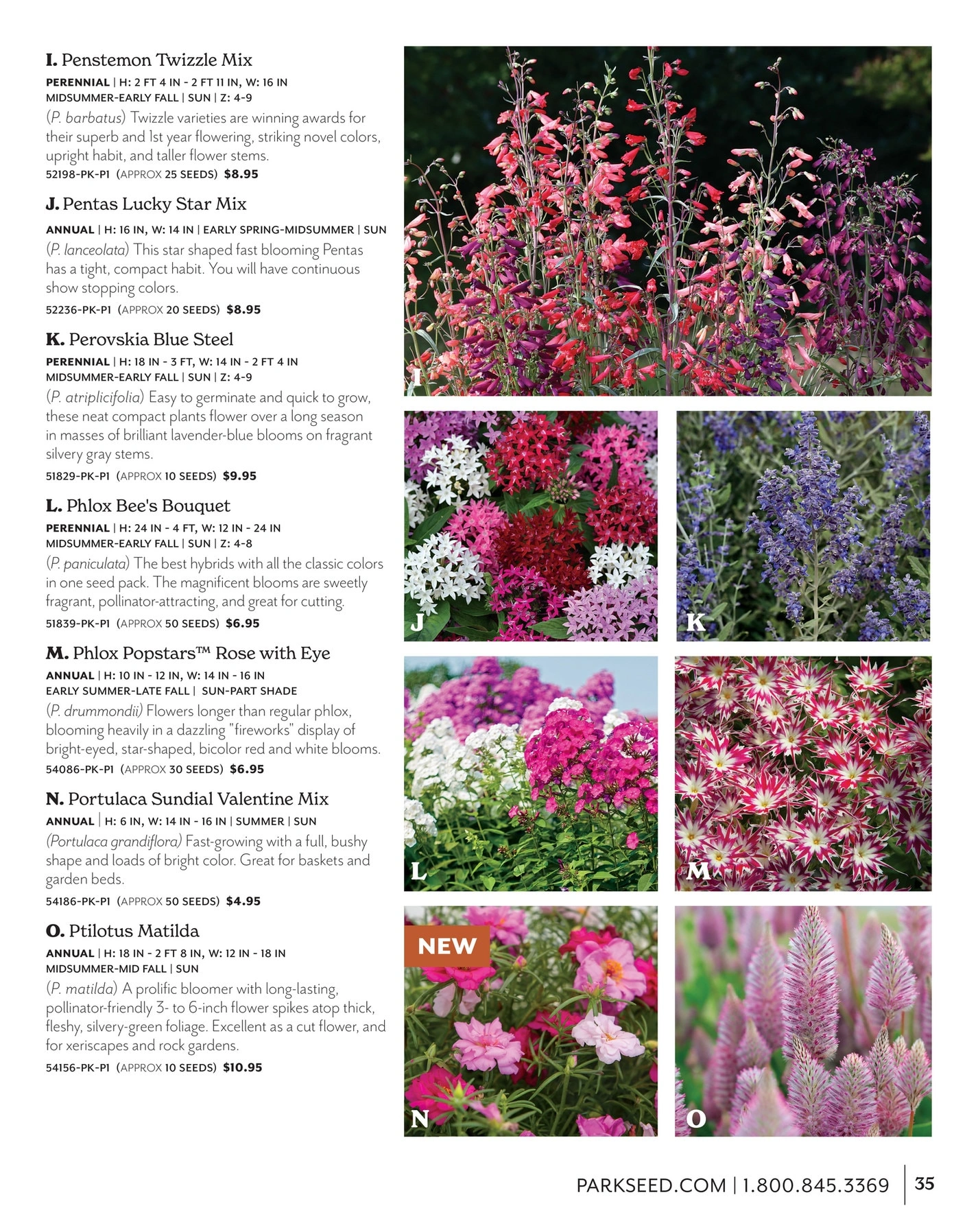 Park Seed flyer page 35