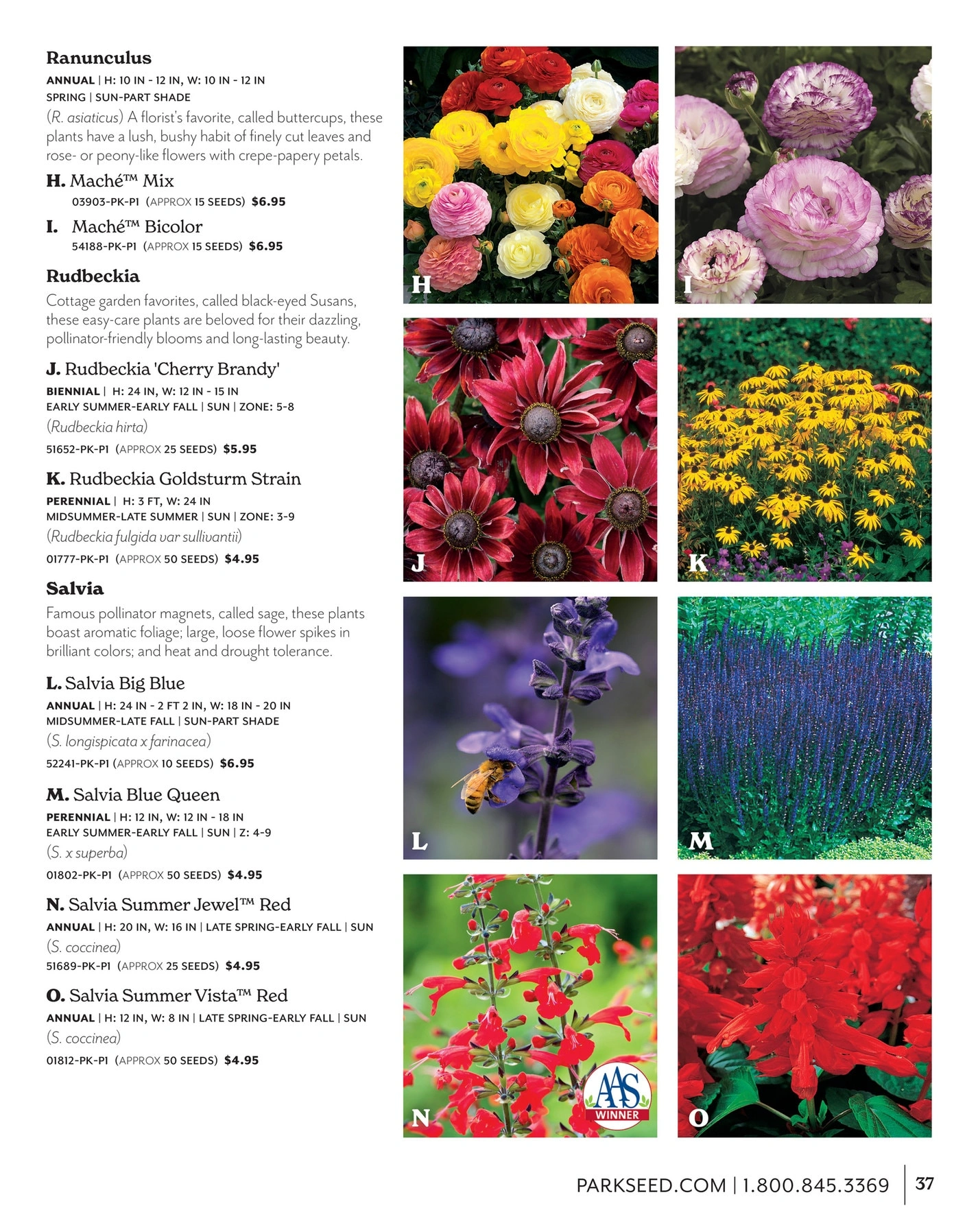 Park Seed flyer page 37