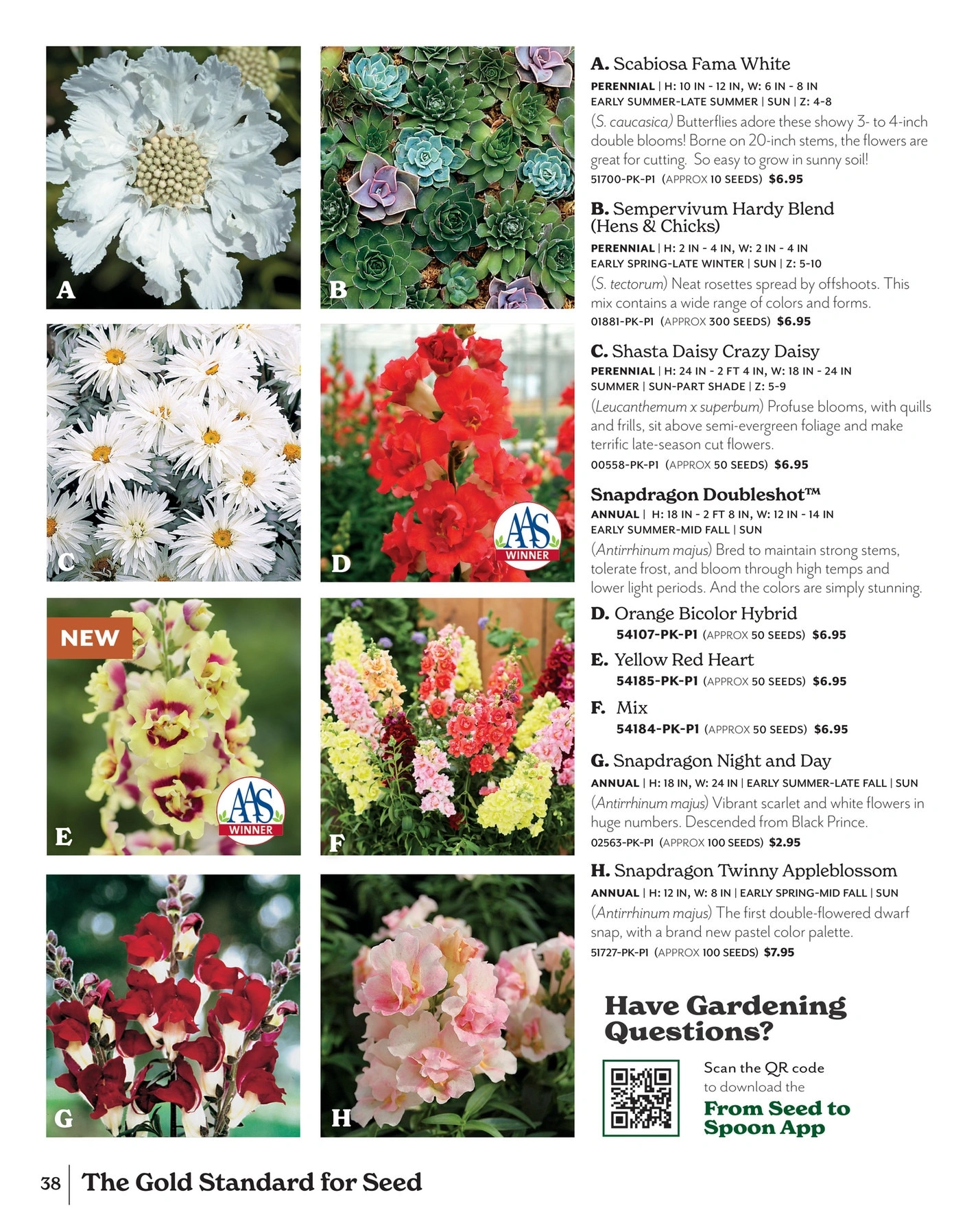 Park Seed flyer page 38