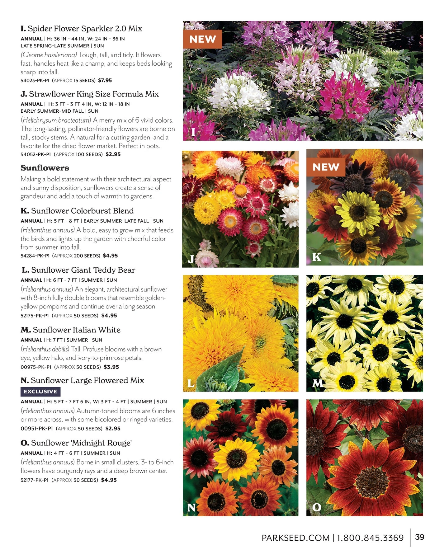 Park Seed flyer page 39