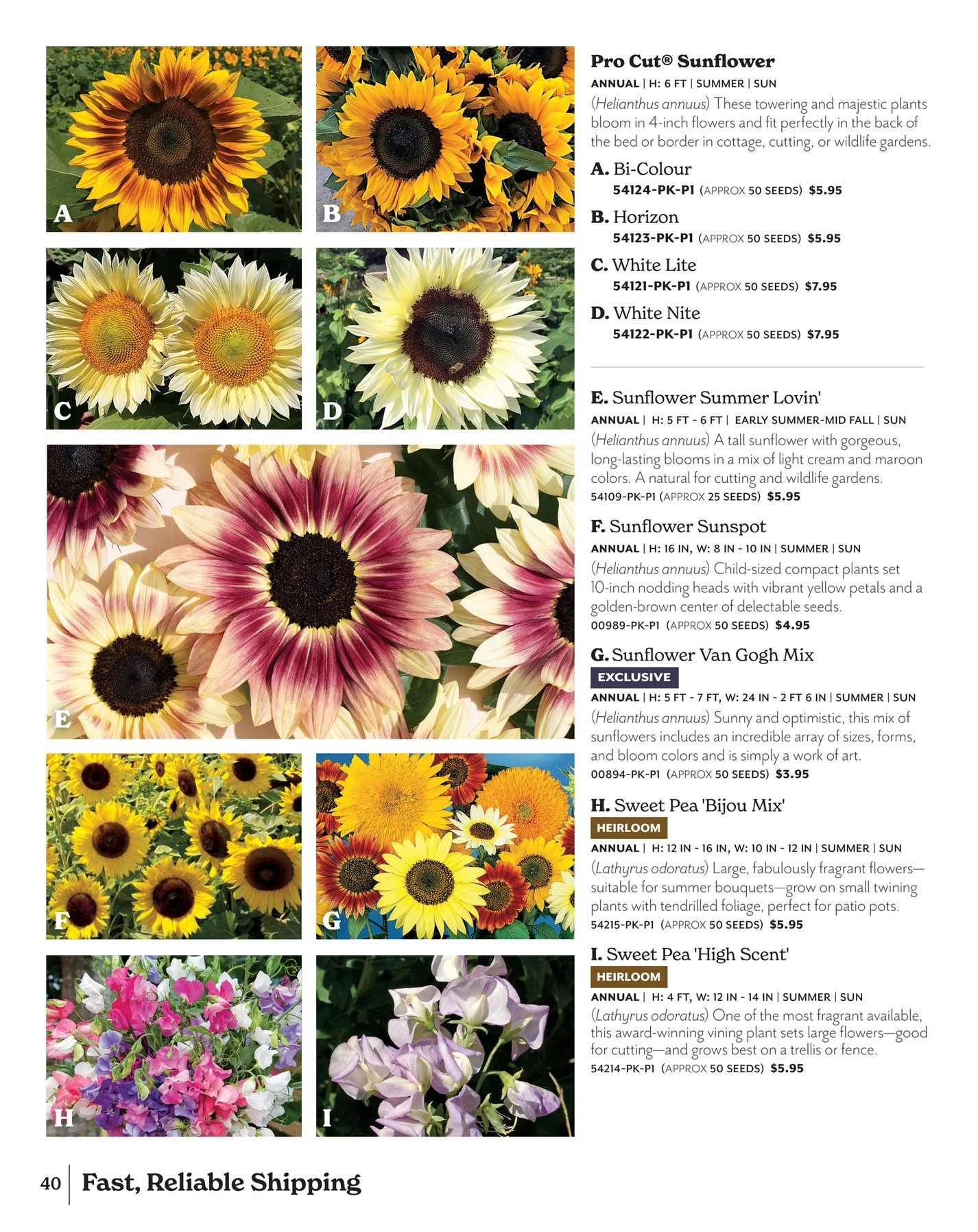 Park Seed flyer page 40