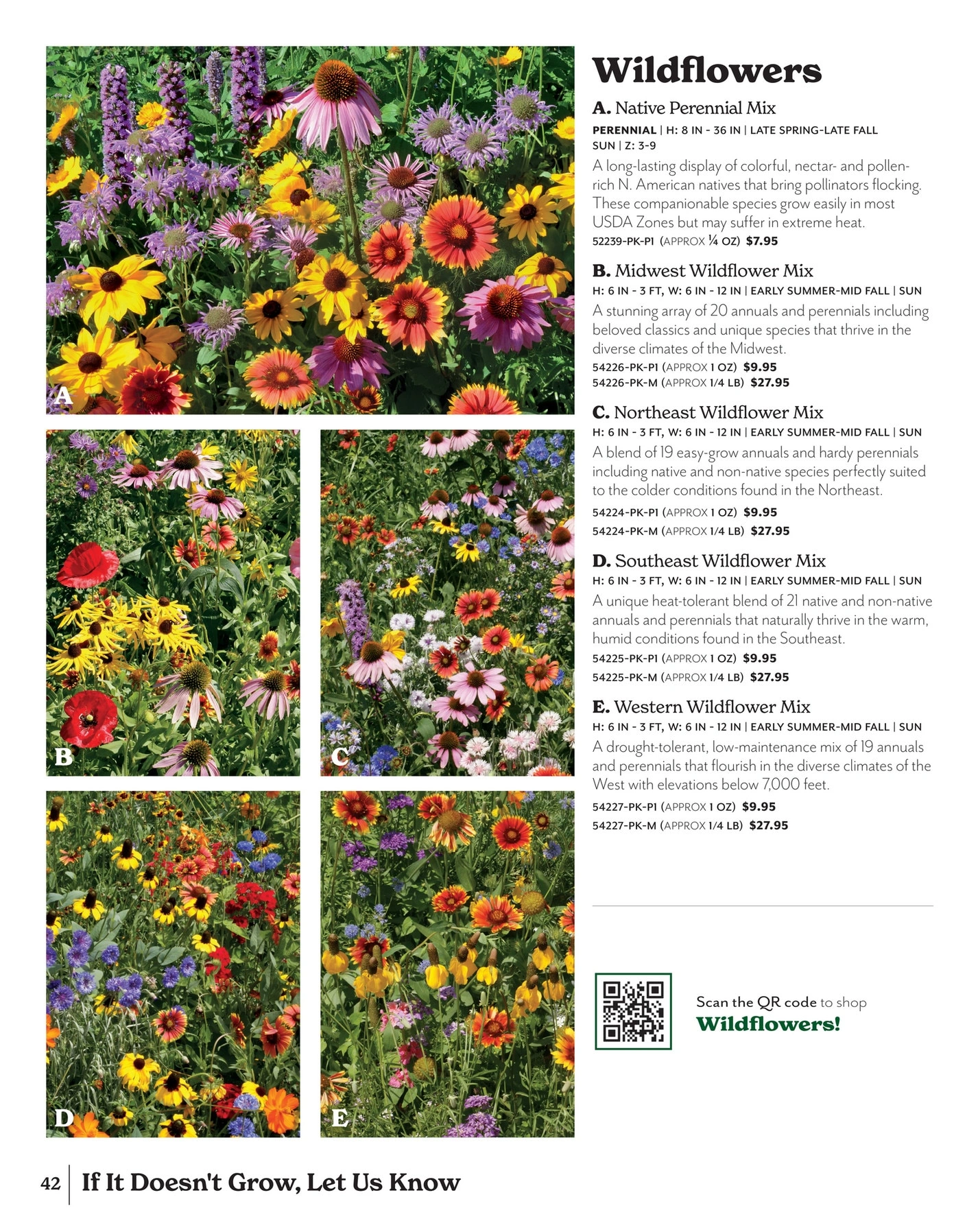 Park Seed flyer page 42