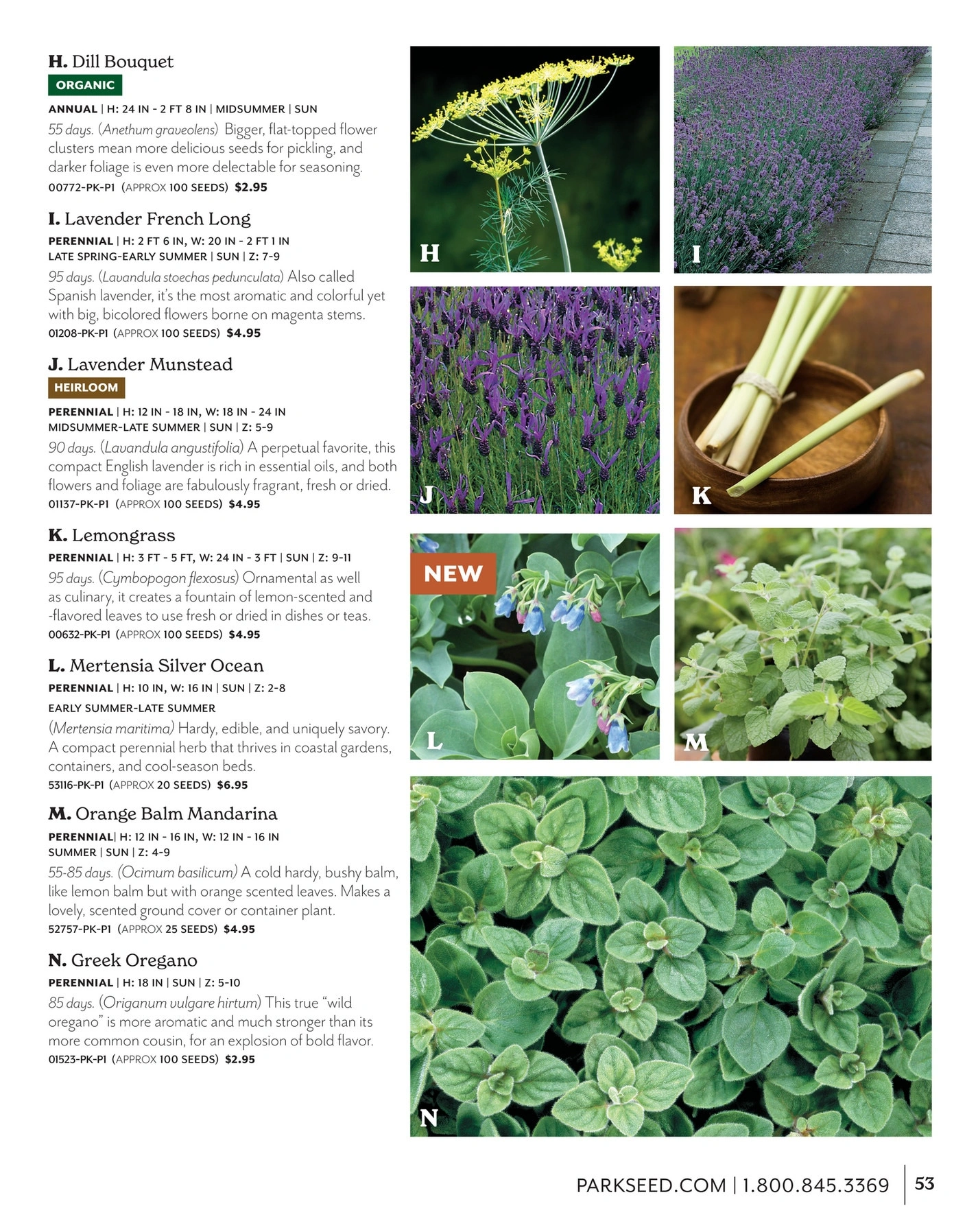 Park Seed flyer page 53