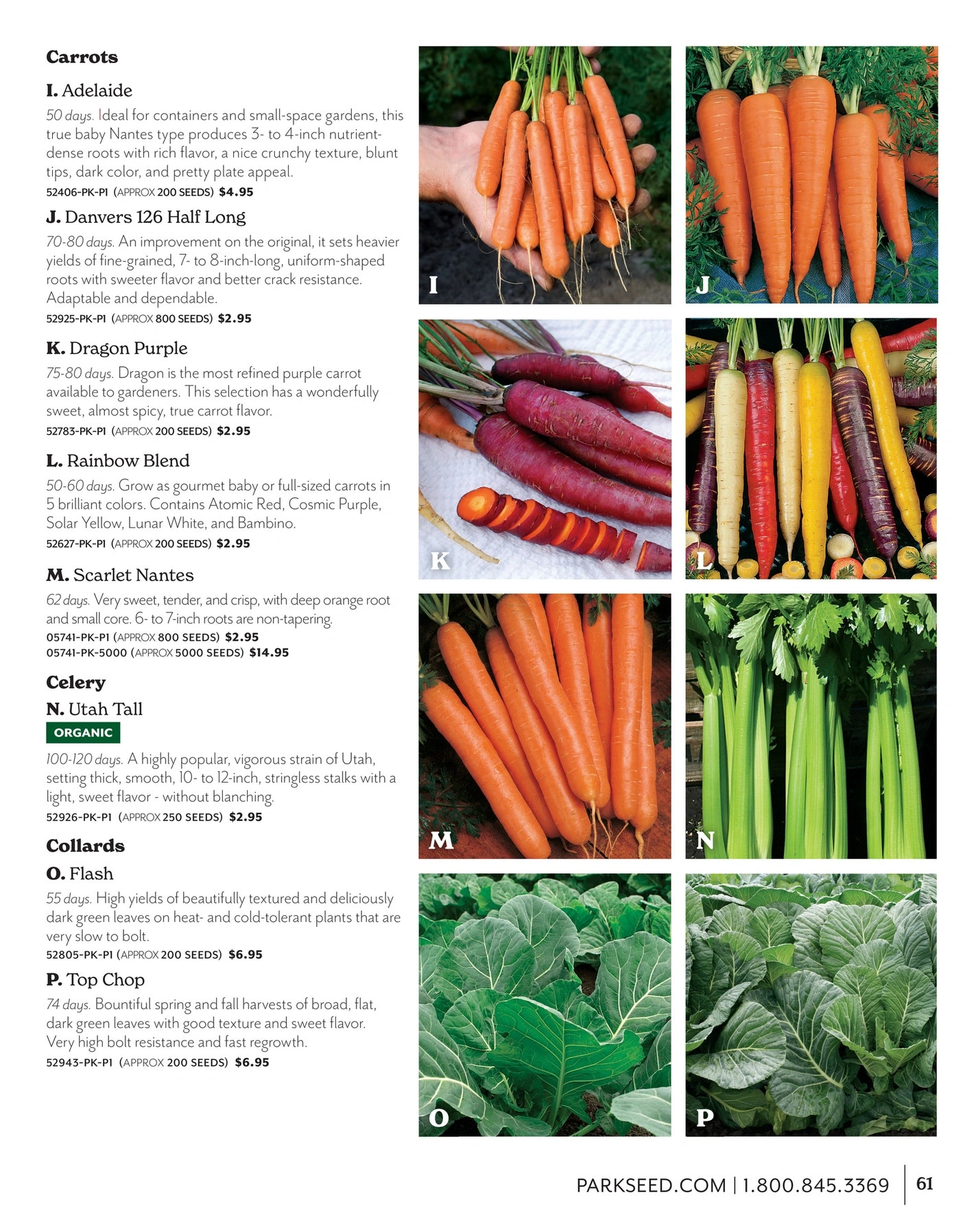 Park Seed flyer page 61