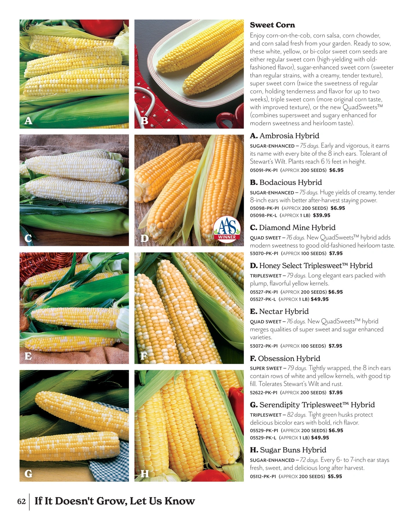 Park Seed flyer page 62