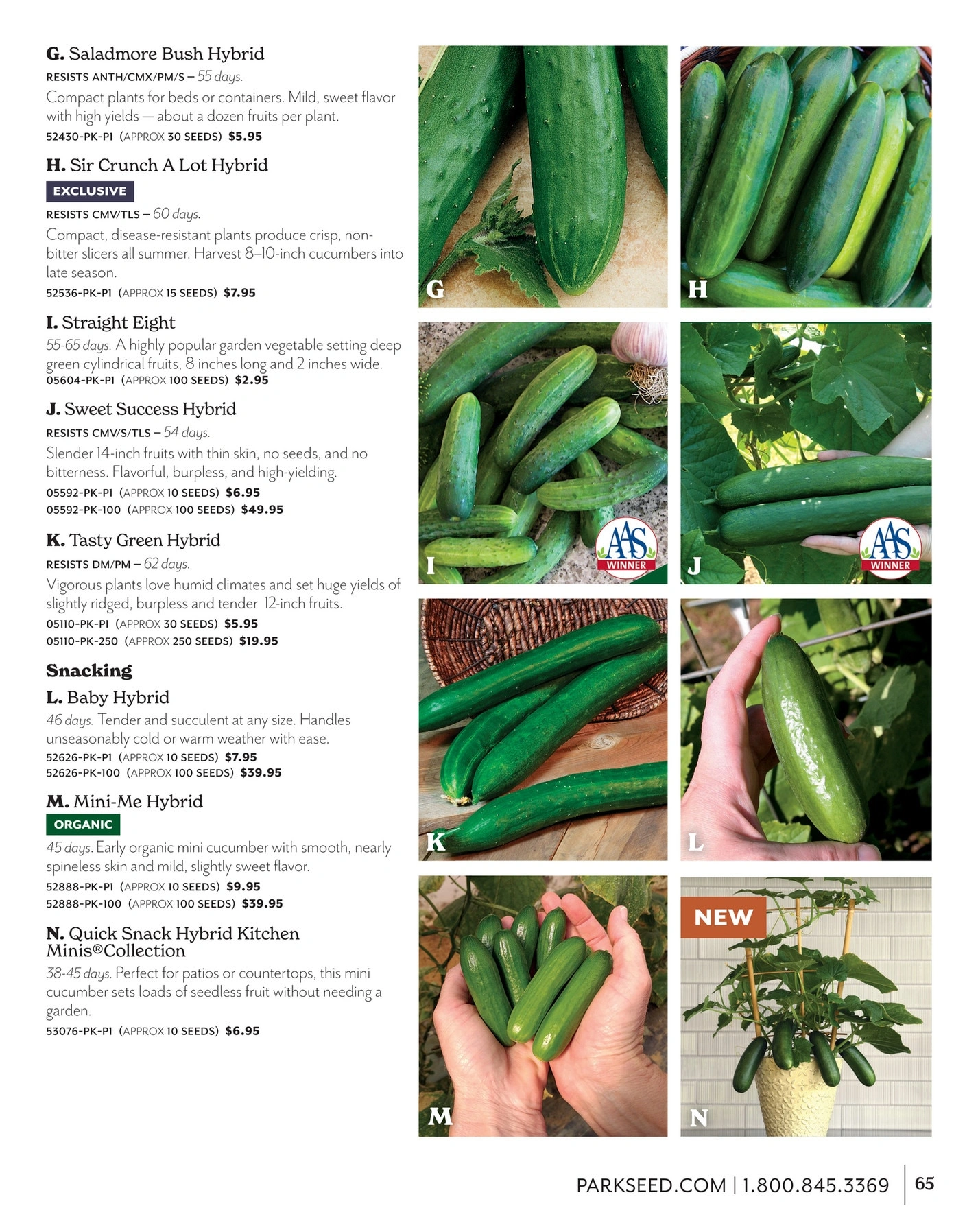 Park Seed flyer page 65