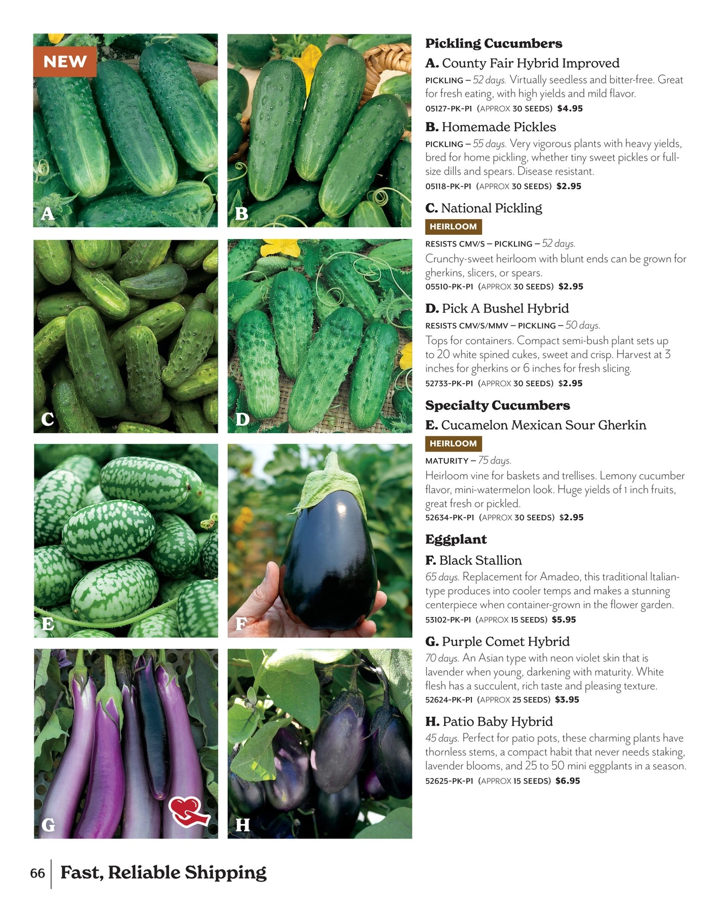 Park Seed flyer page 66