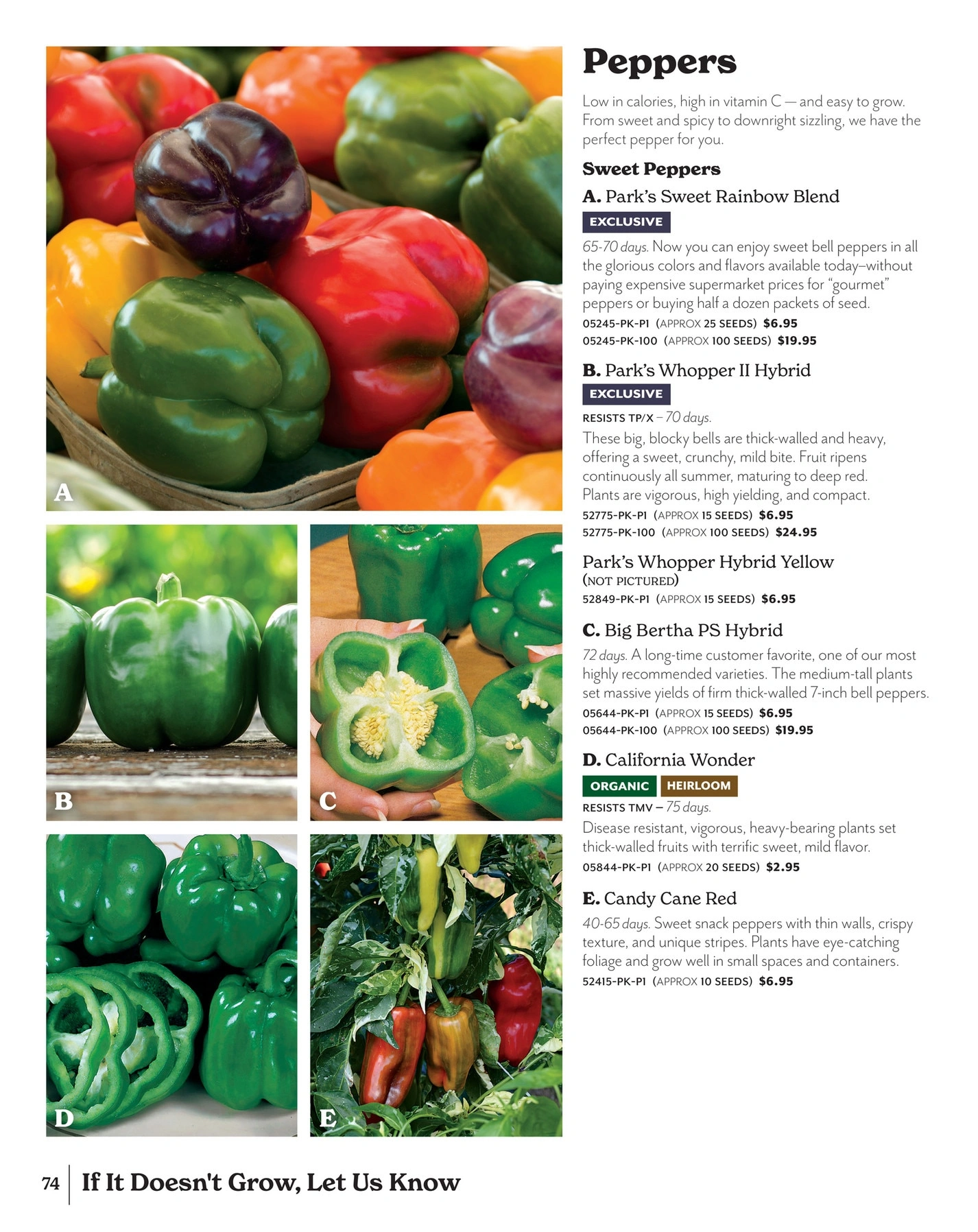 Park Seed flyer page 74