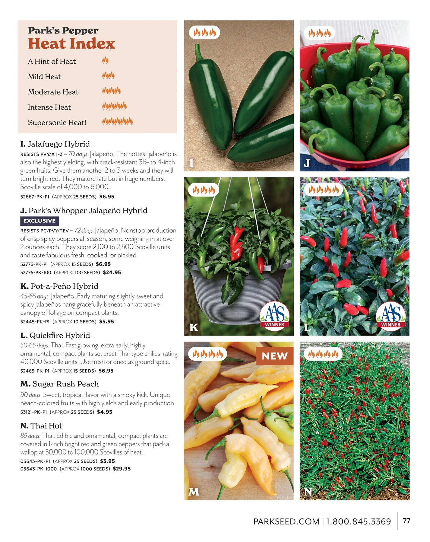 Park Seed flyer page 77