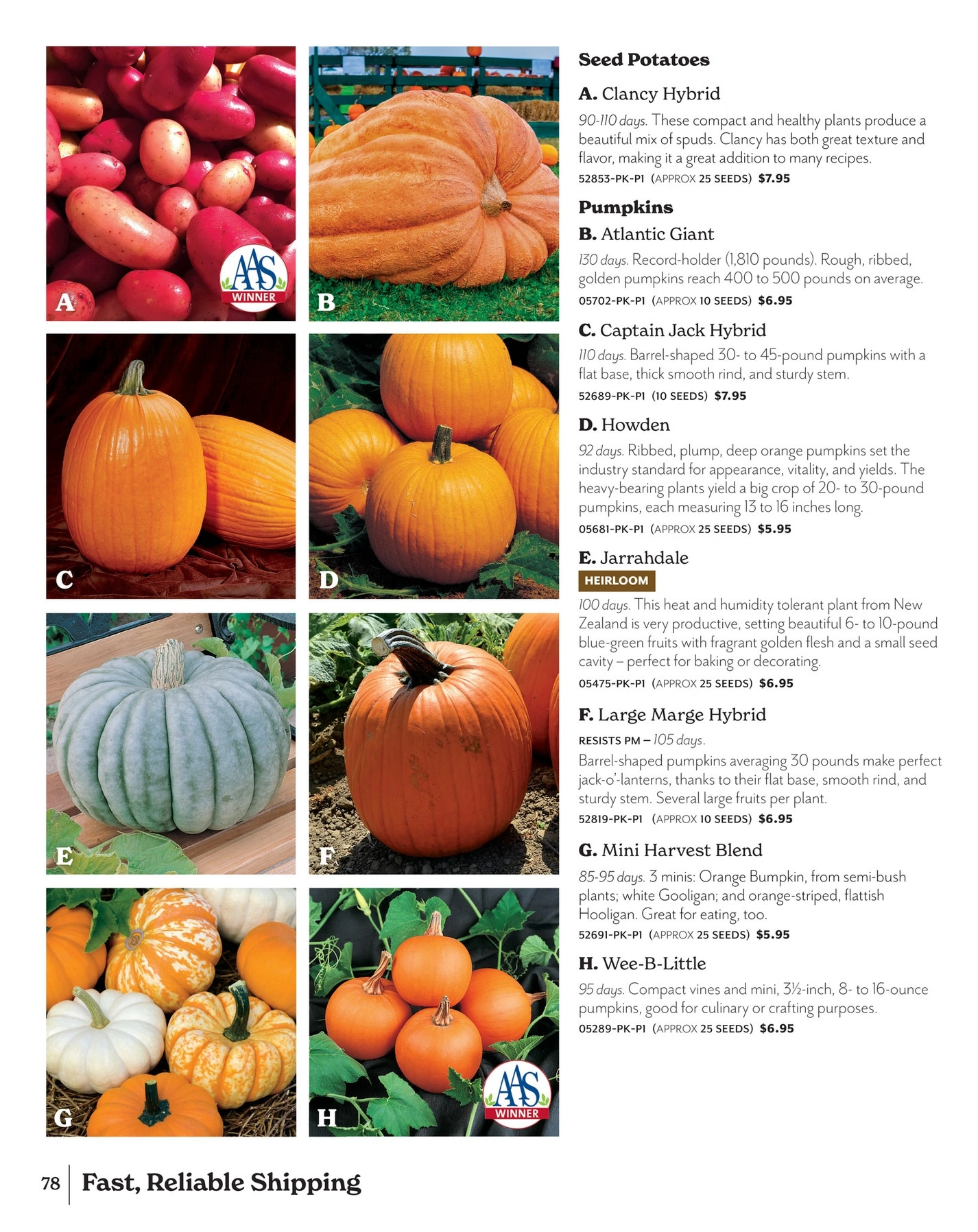 Park Seed flyer page 78