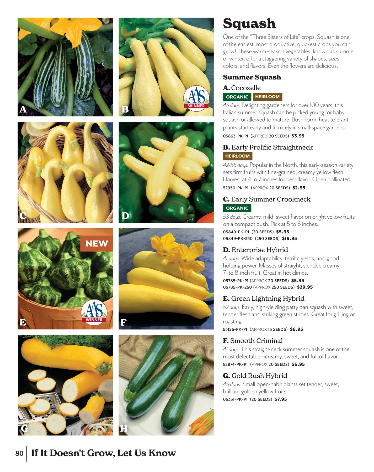 Park Seed flyer page 80