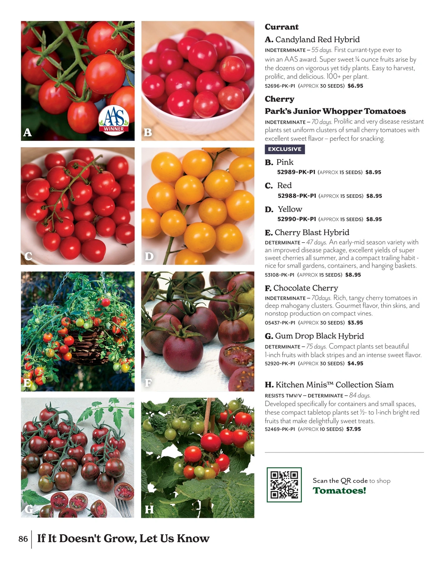 Park Seed flyer page 86