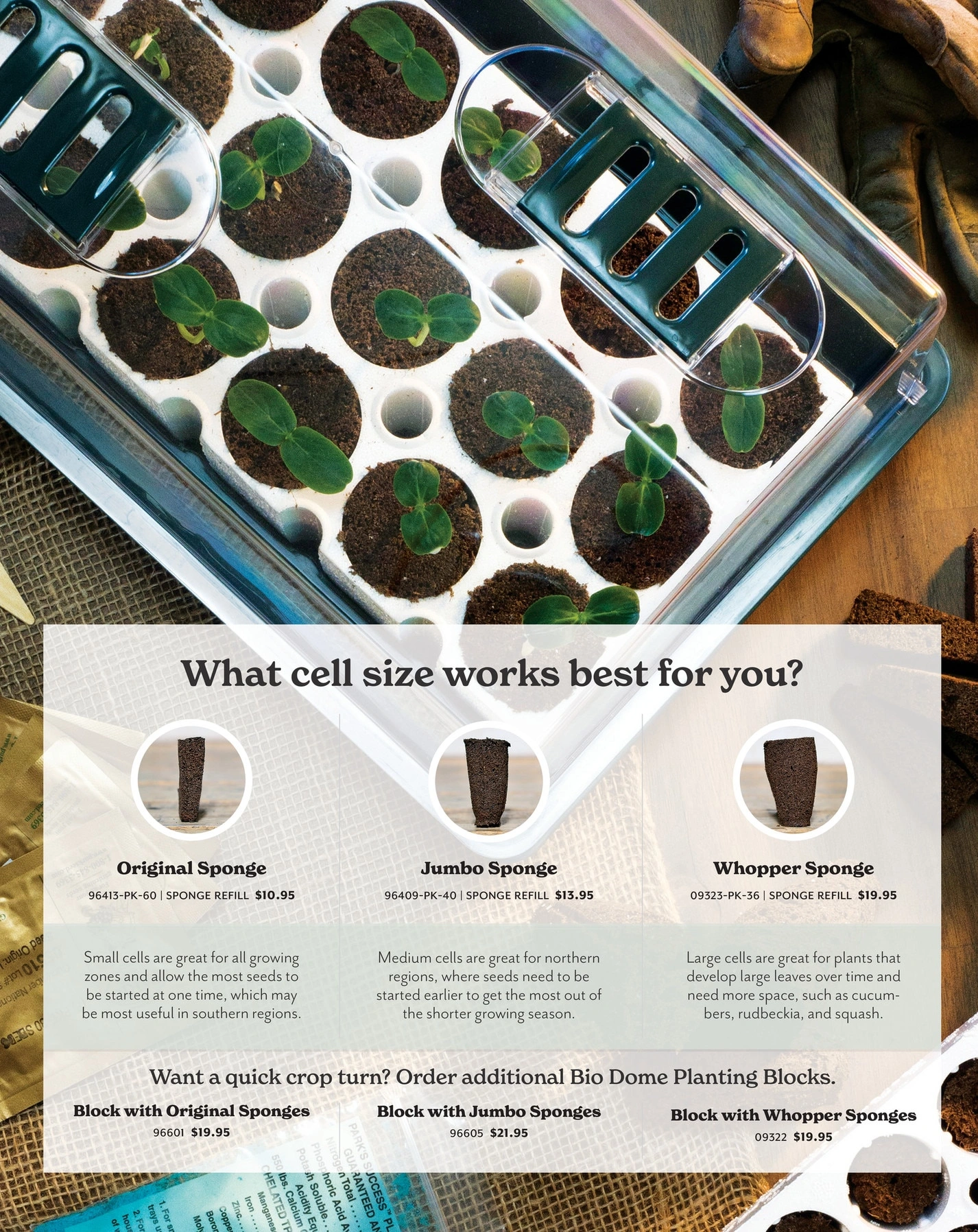 Park Seed flyer page 91