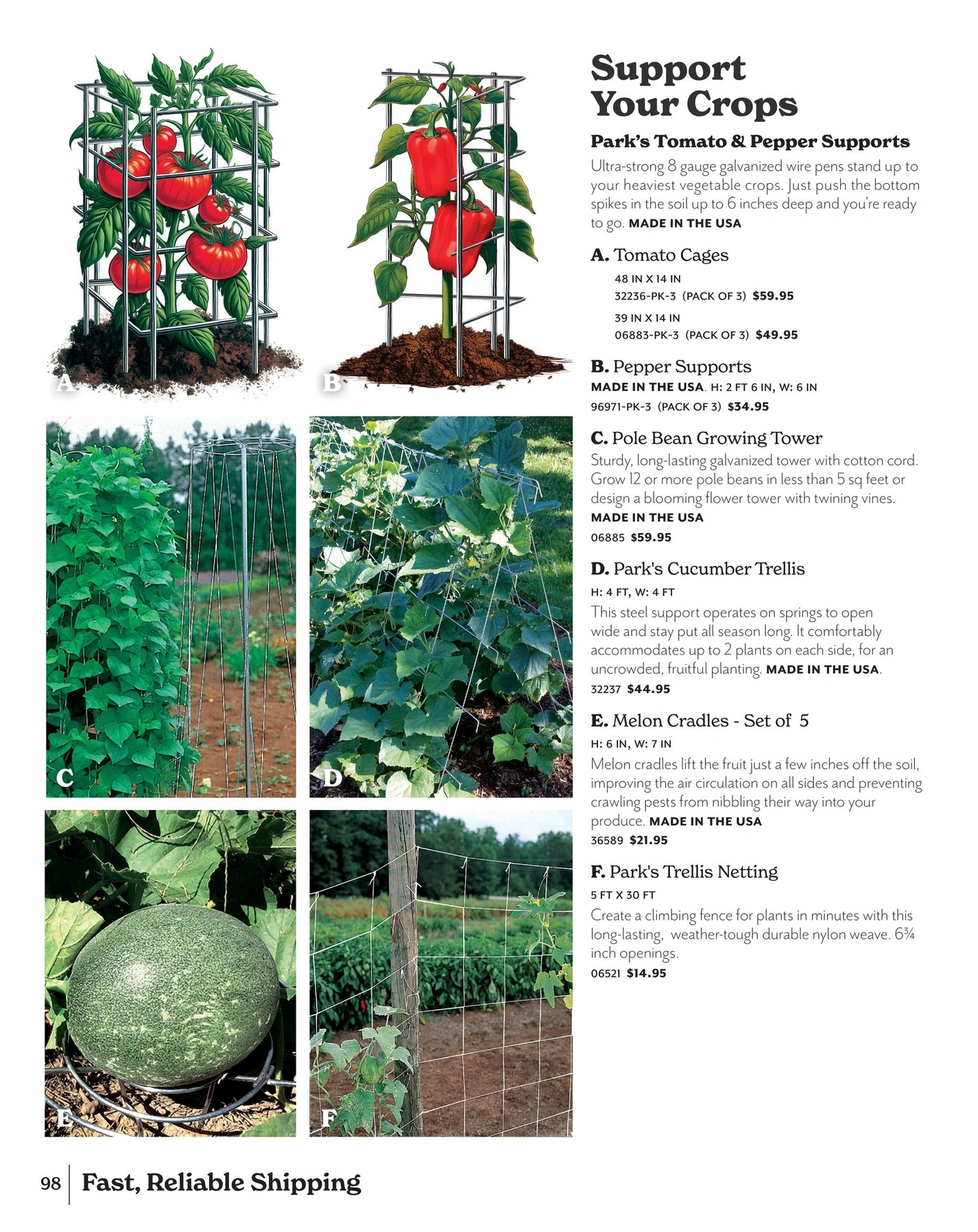 Park Seed flyer page 98