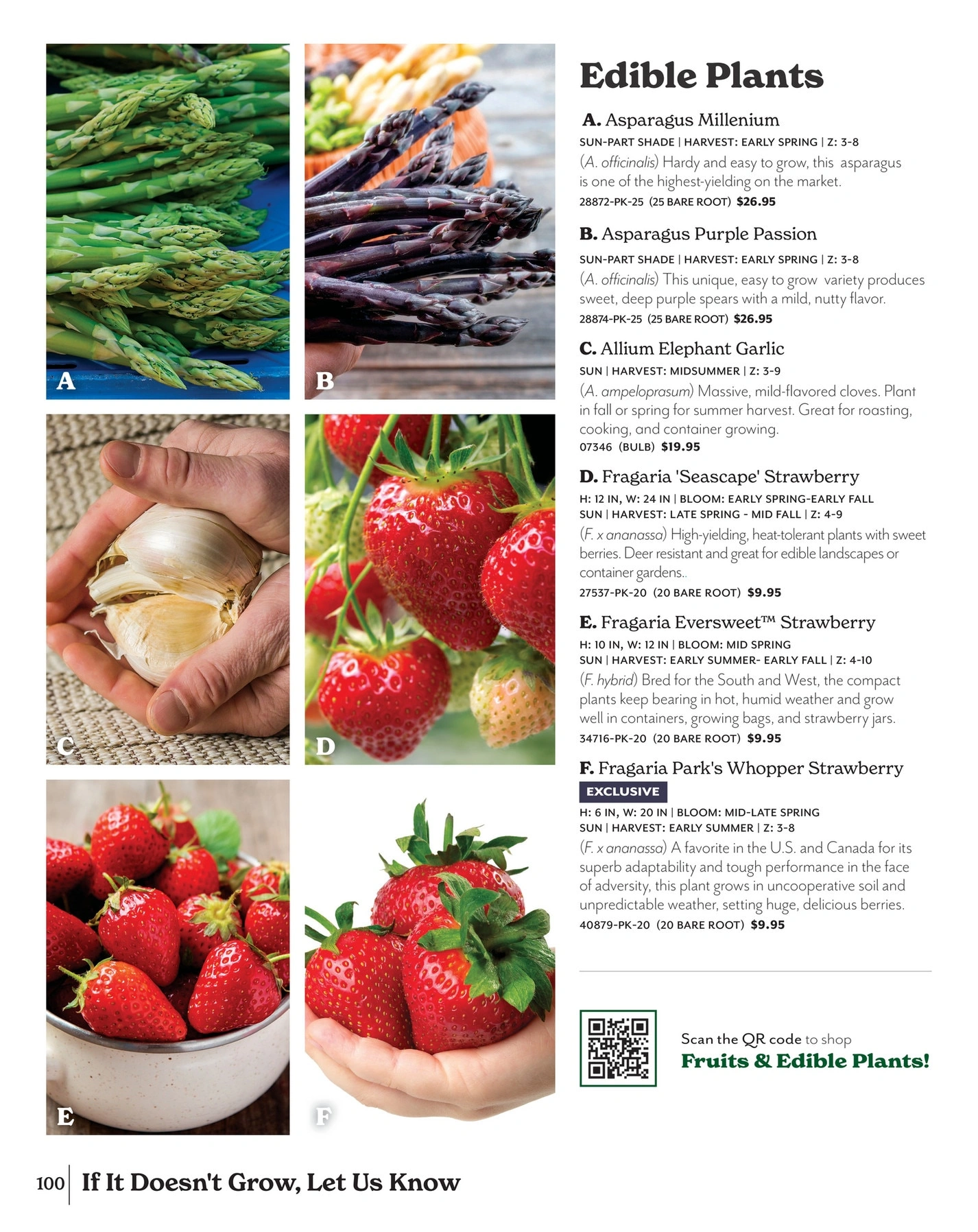Park Seed flyer page 100