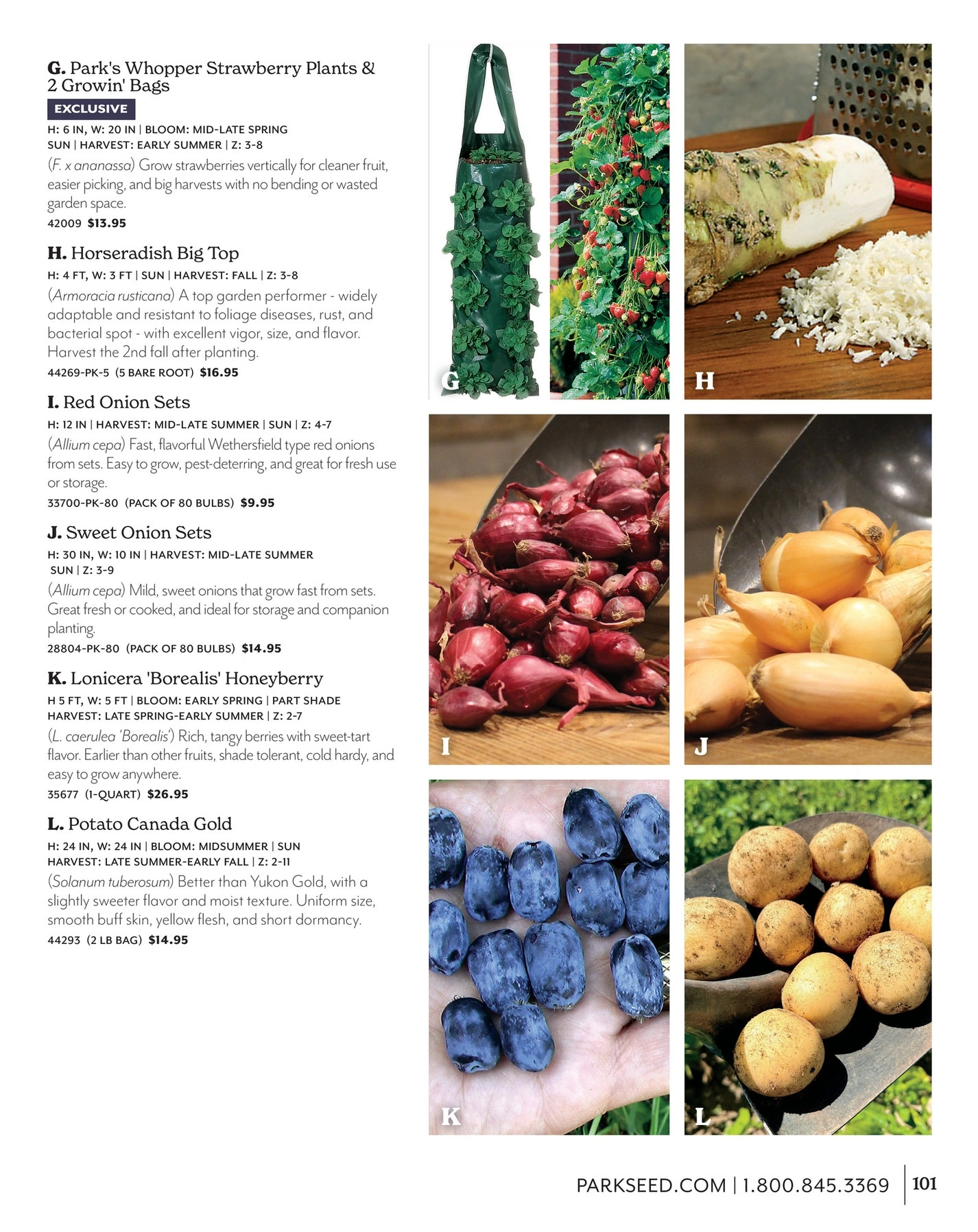 Park Seed flyer page 101