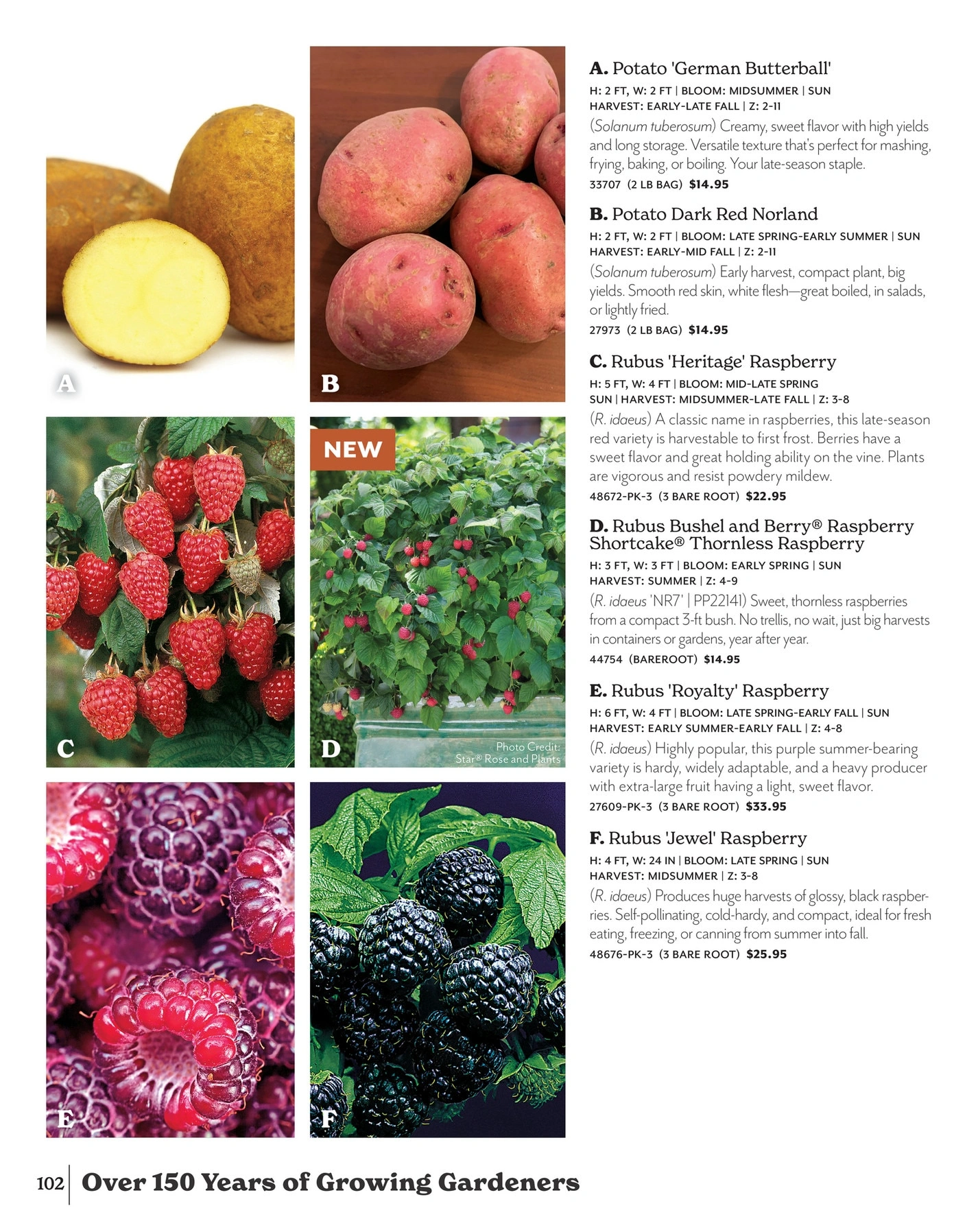 Park Seed flyer page 102