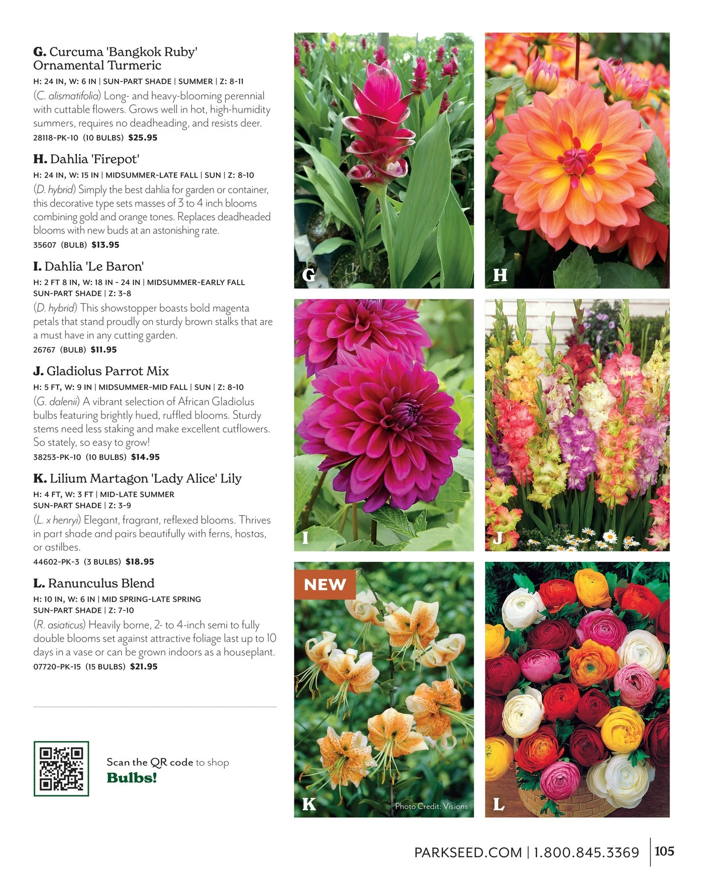 Park Seed flyer page 105