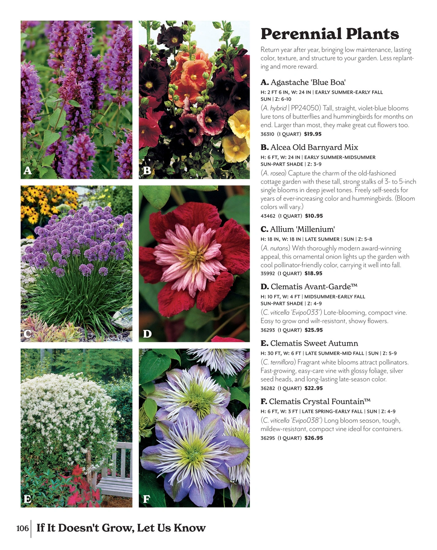 Park Seed flyer page 106