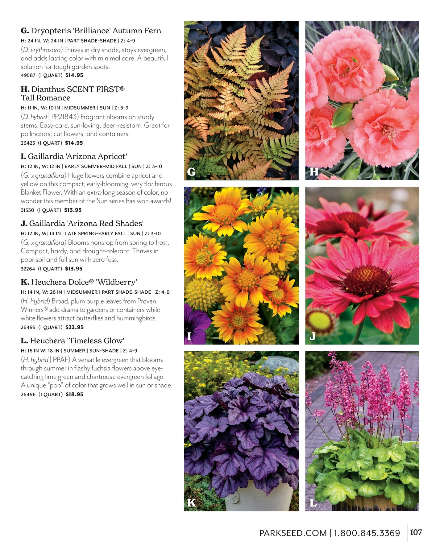 Park Seed flyer page 107