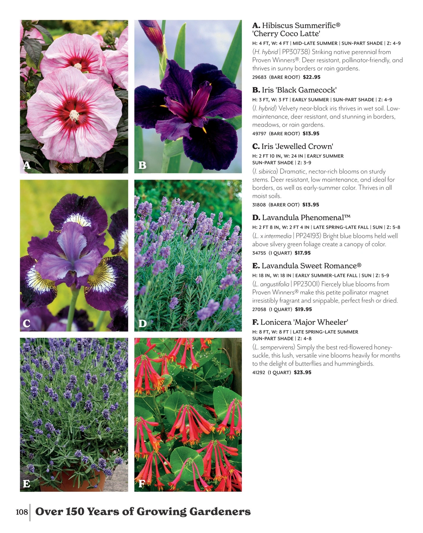 Park Seed flyer page 108