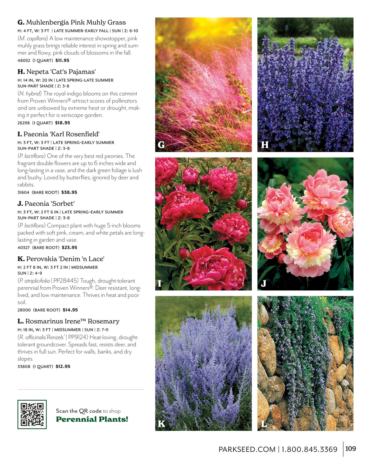 Park Seed flyer page 109