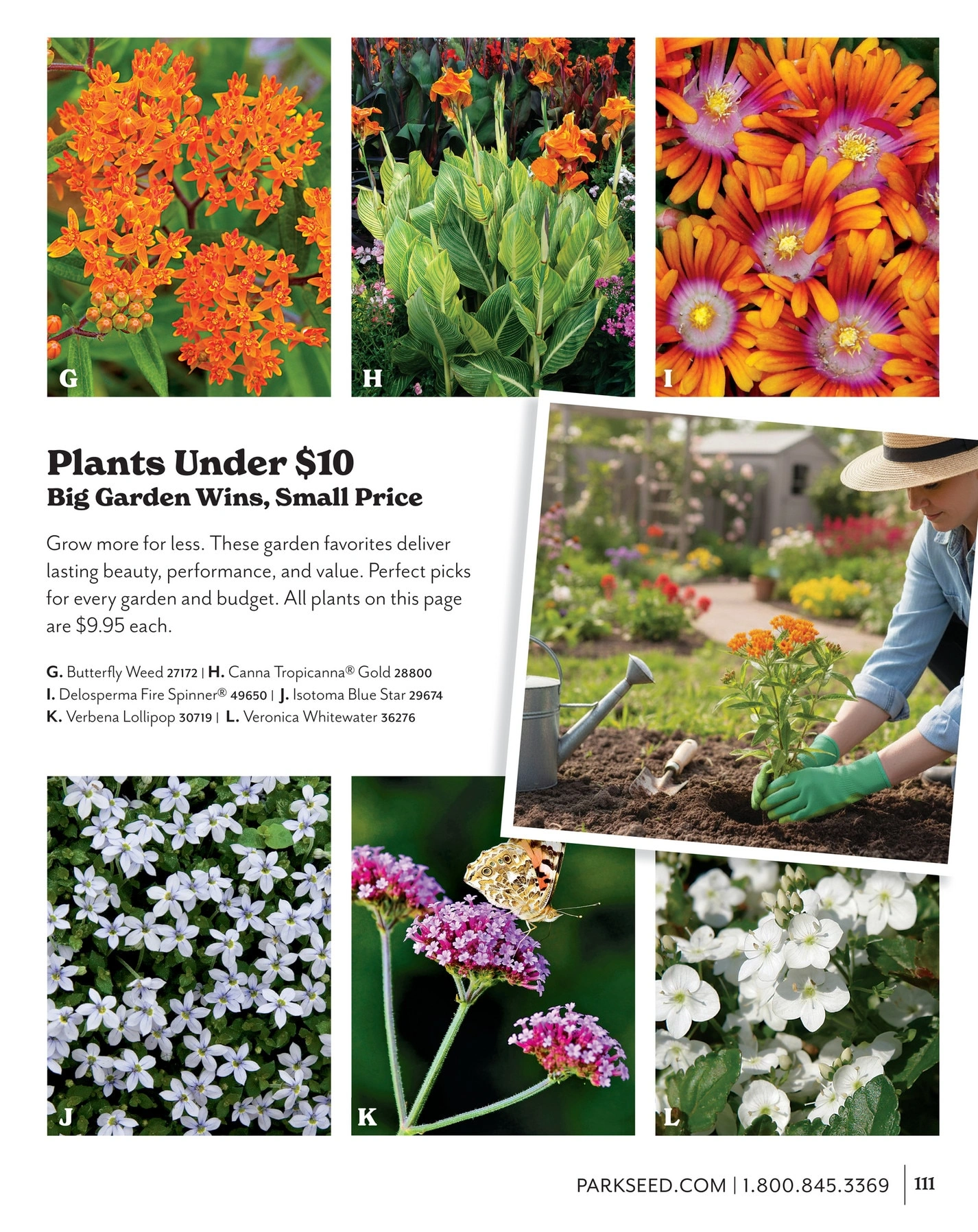 Park Seed flyer page 111