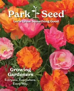 Park Seed Big Seed Spring Catalog Weekly Ad