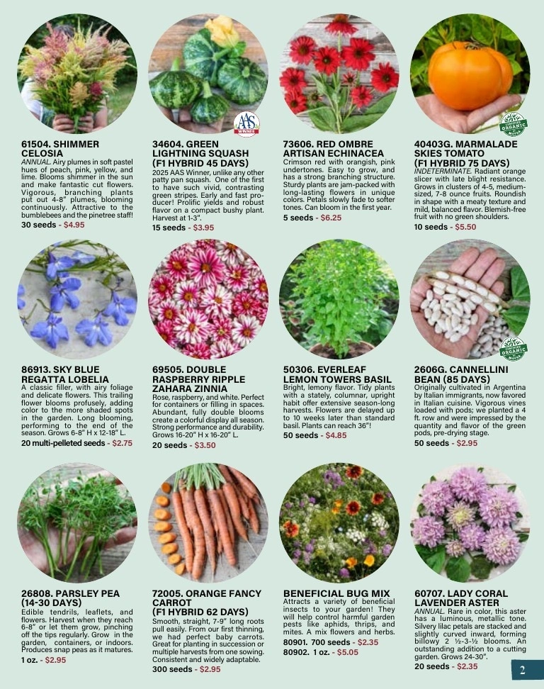 Pinetree Garden Seeds flyer page 3