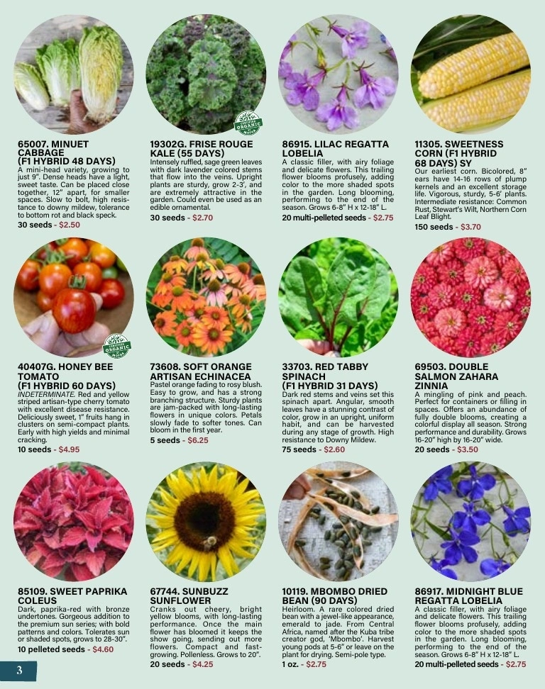 Pinetree Garden Seeds flyer page 4