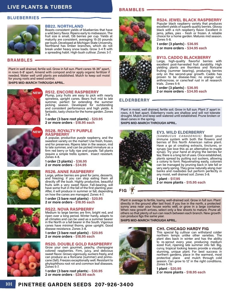 Pinetree Garden Seeds flyer page 102