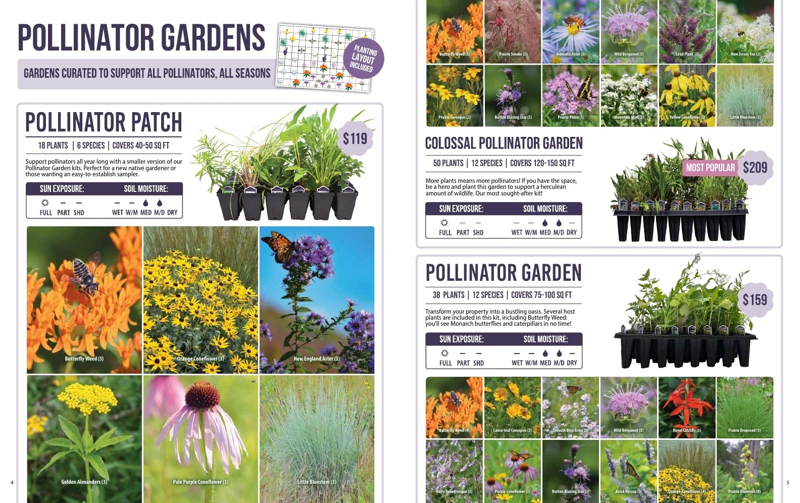 Prairie Moon Nursery flyer page 3