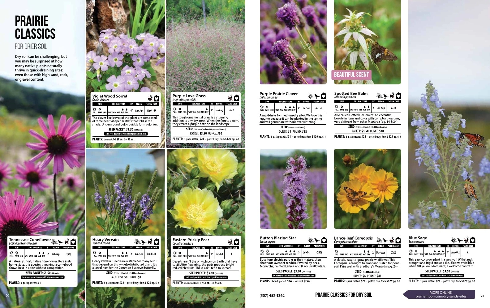 Prairie Moon Nursery flyer page 11