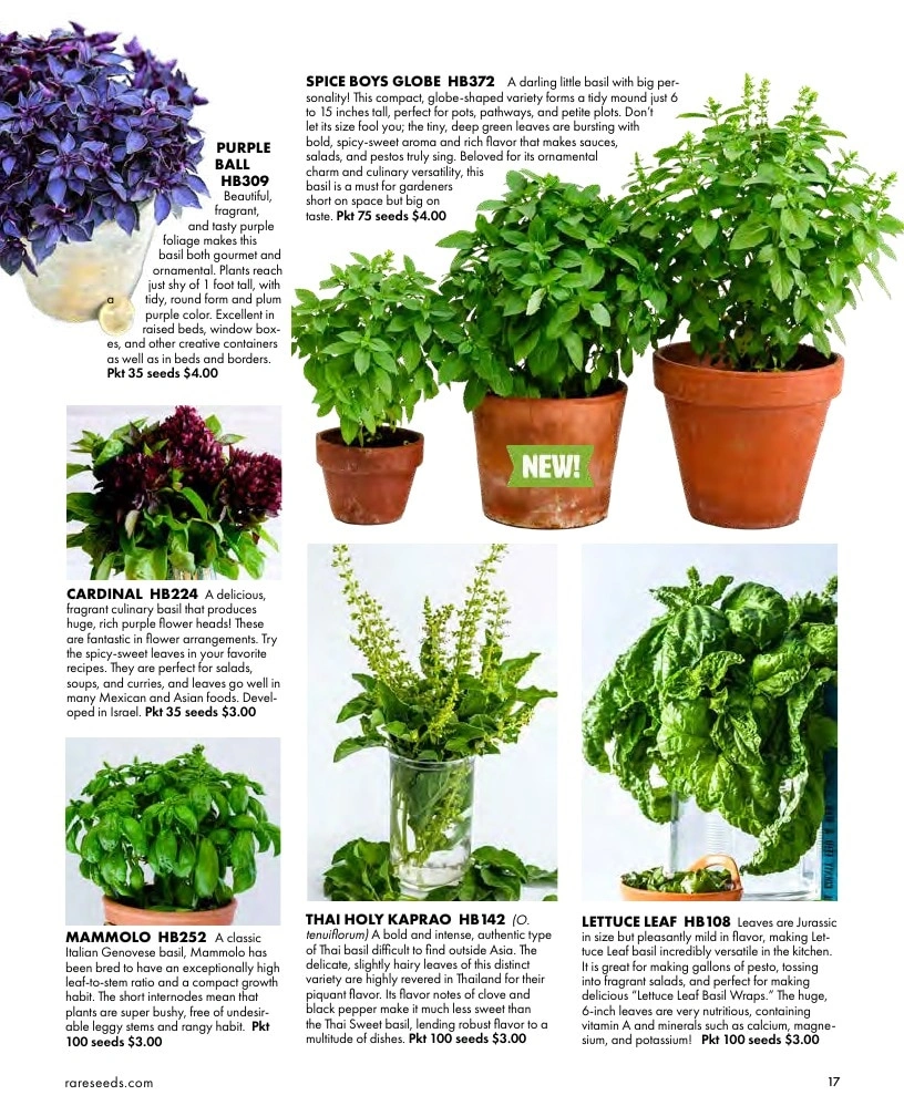 Baker Creek Heirloom Seeds flyer page 17
