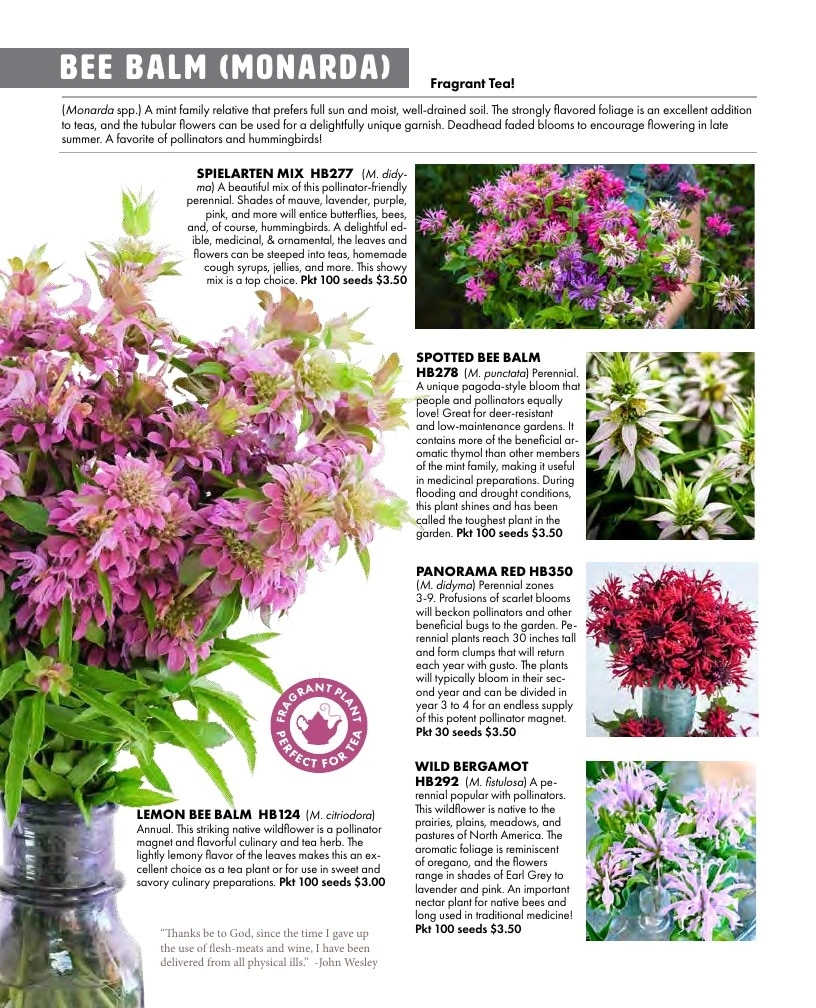 Baker Creek Heirloom Seeds flyer page 22