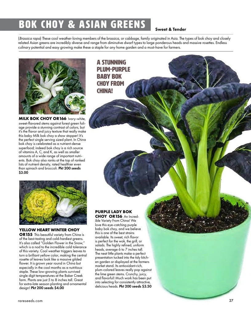Baker Creek Heirloom Seeds flyer page 27