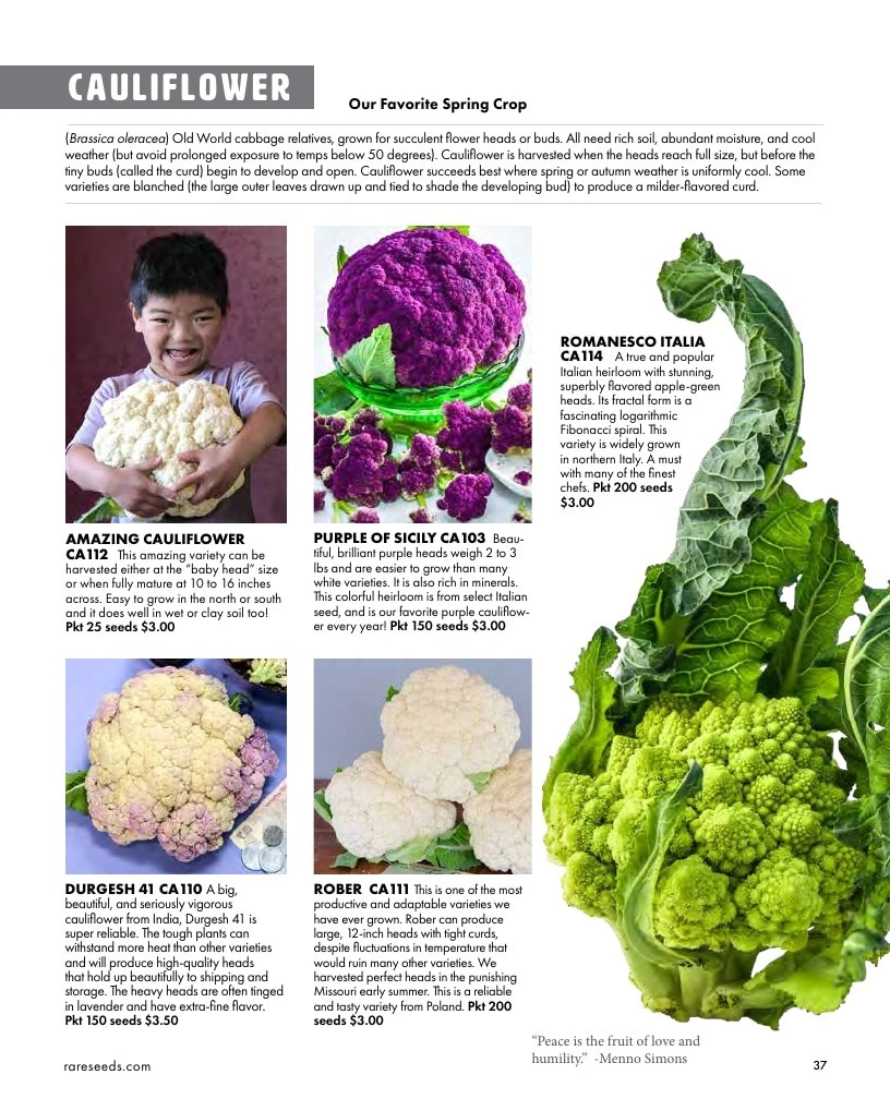Baker Creek Heirloom Seeds flyer page 37