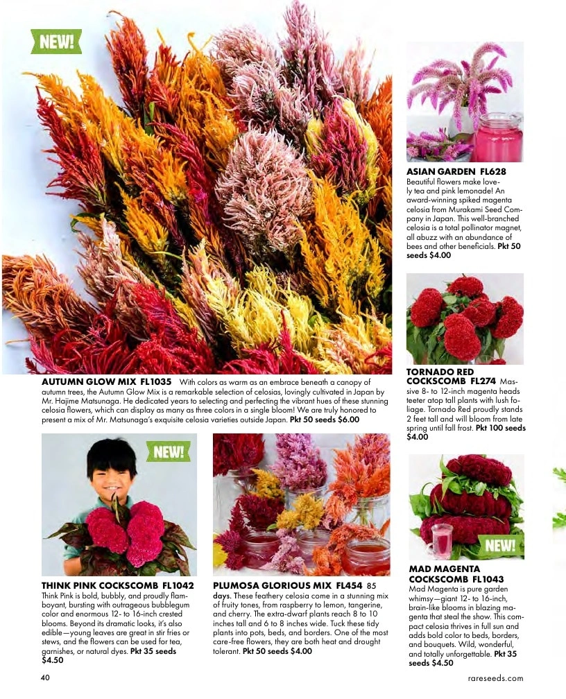 Baker Creek Heirloom Seeds flyer page 40