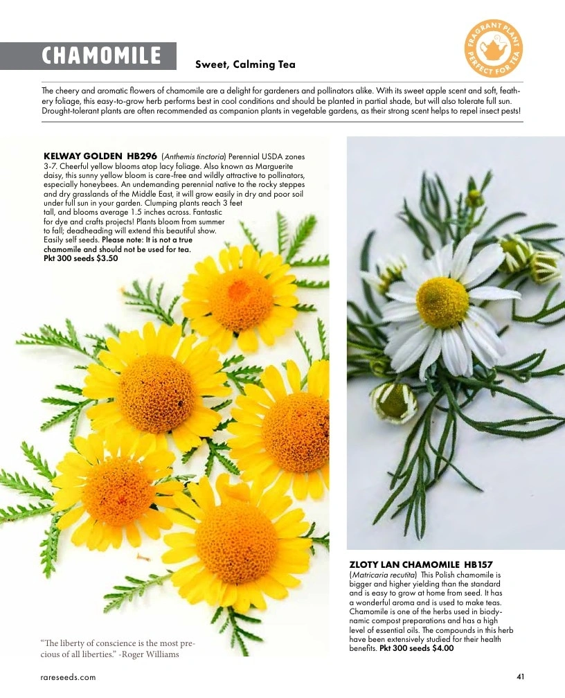 Baker Creek Heirloom Seeds flyer page 41
