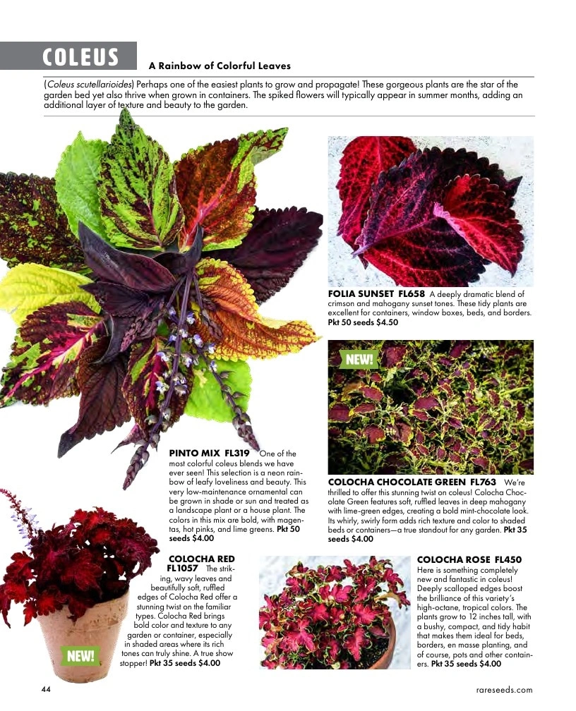Baker Creek Heirloom Seeds flyer page 44
