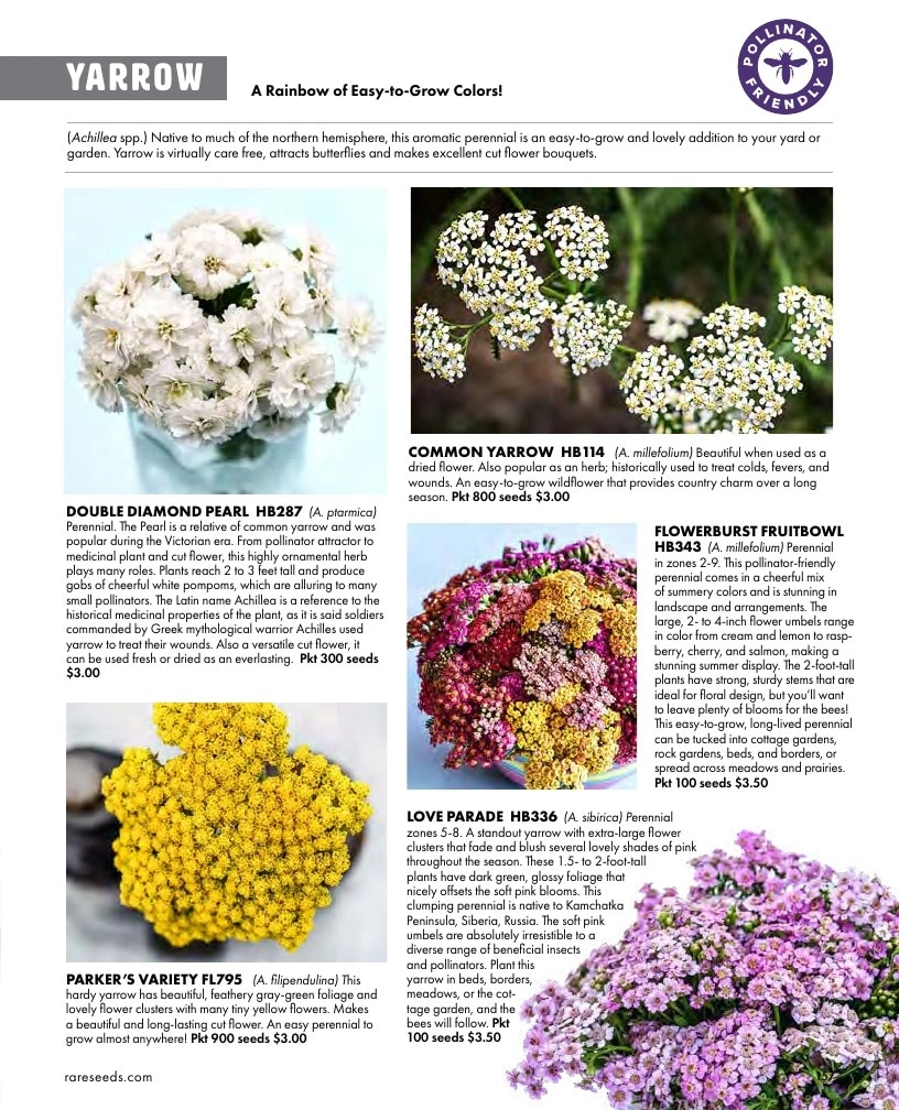 Baker Creek Heirloom Seeds flyer page 157