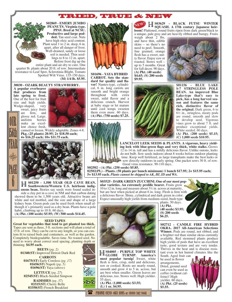 R.H. Shumway flyer page 6