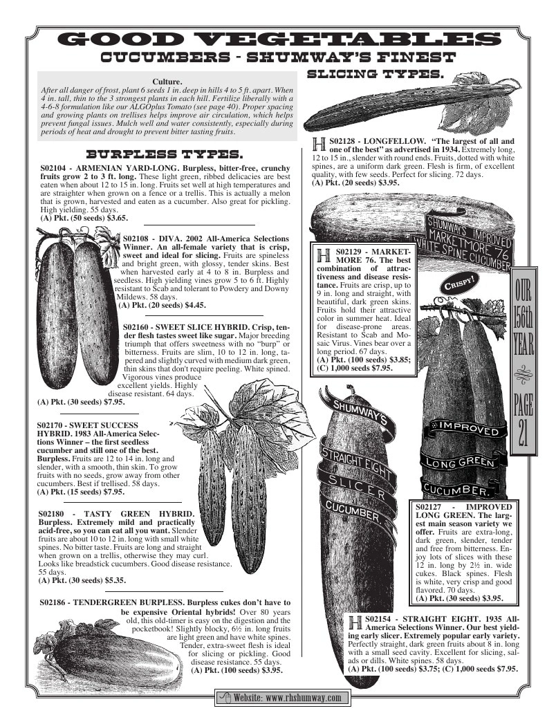 R.H. Shumway flyer page 21